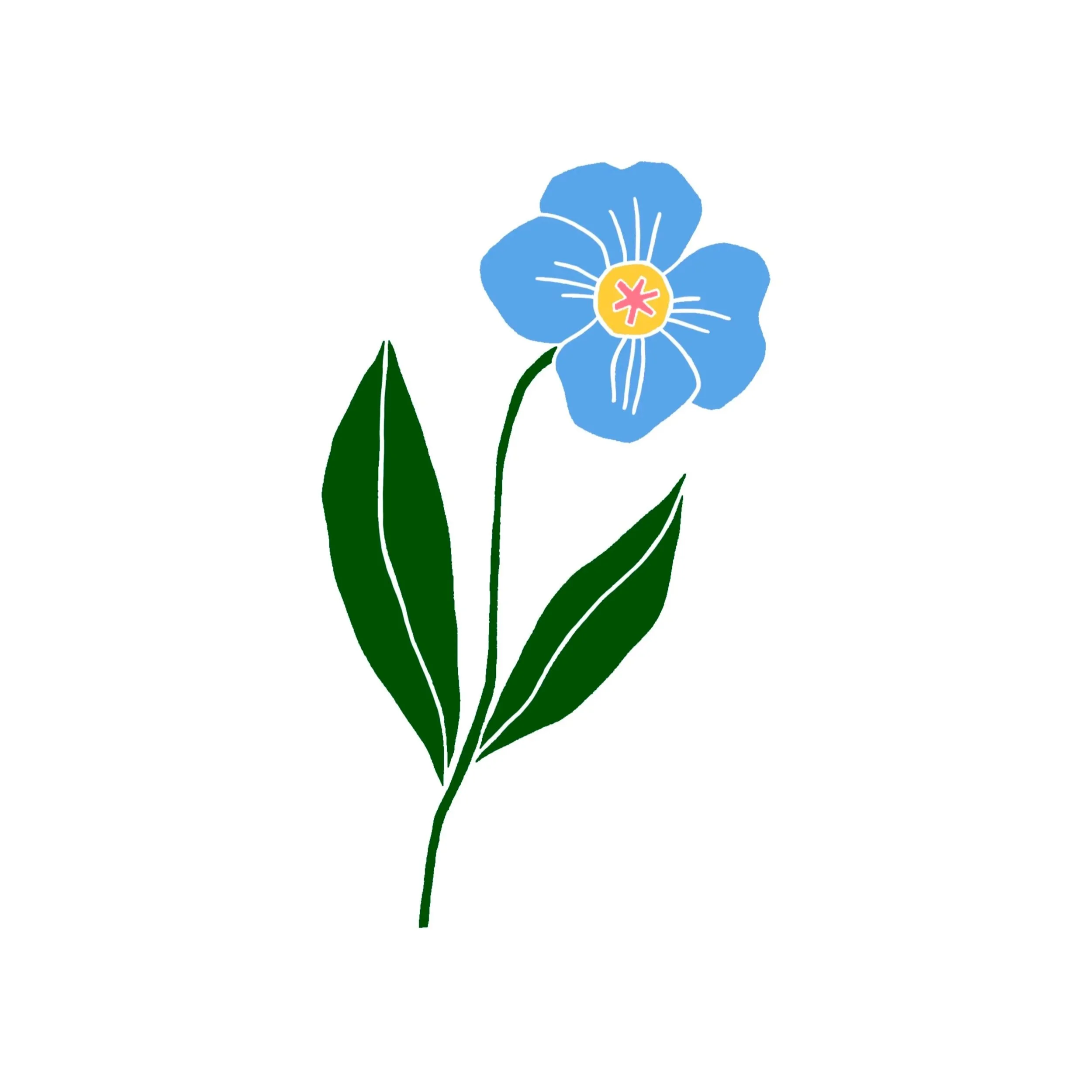 kind of a forget me not (in color)- 5 inches minimun