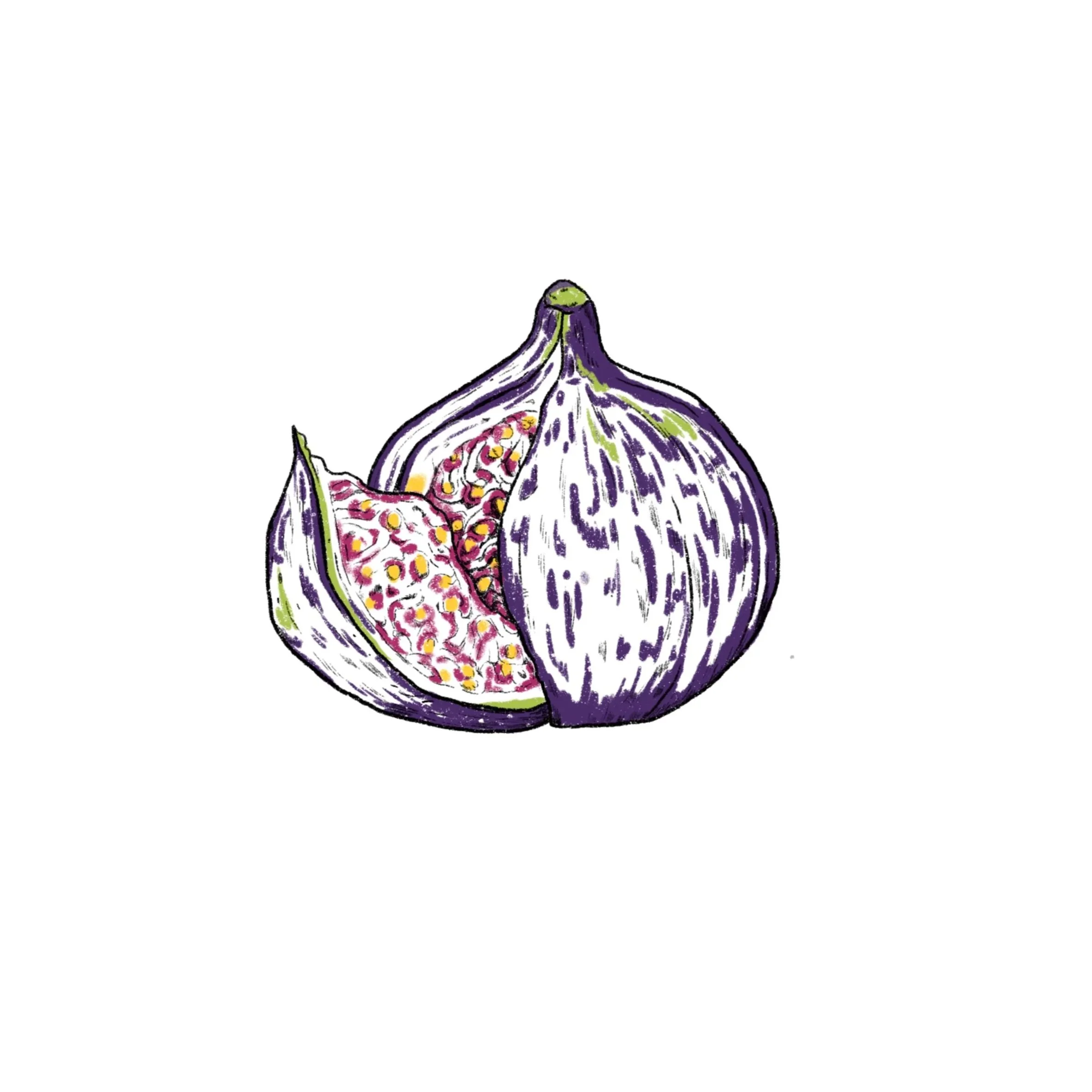 fig in color- 2.5 inches minimum