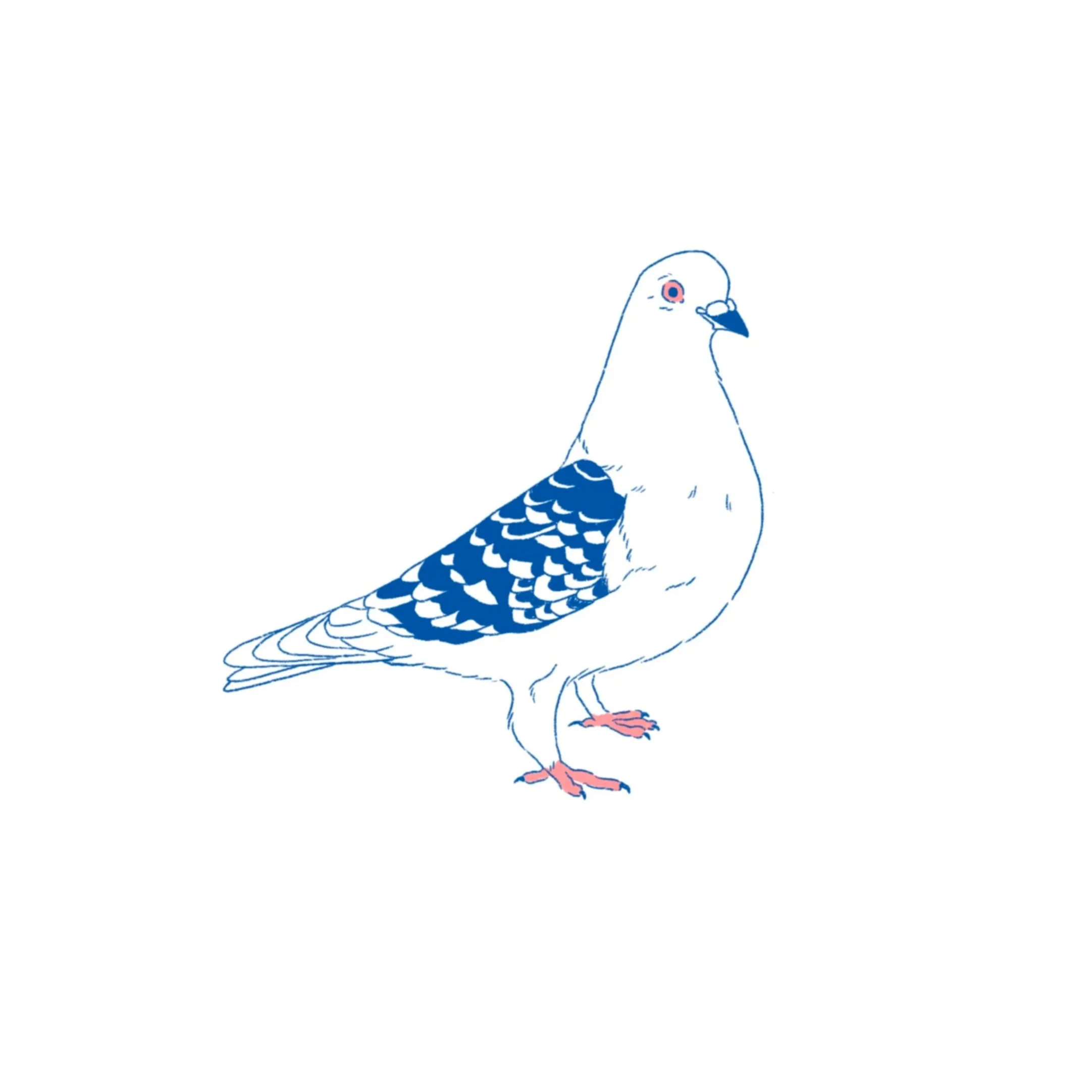 Pigeon party 01 in color- 3 inches minimum