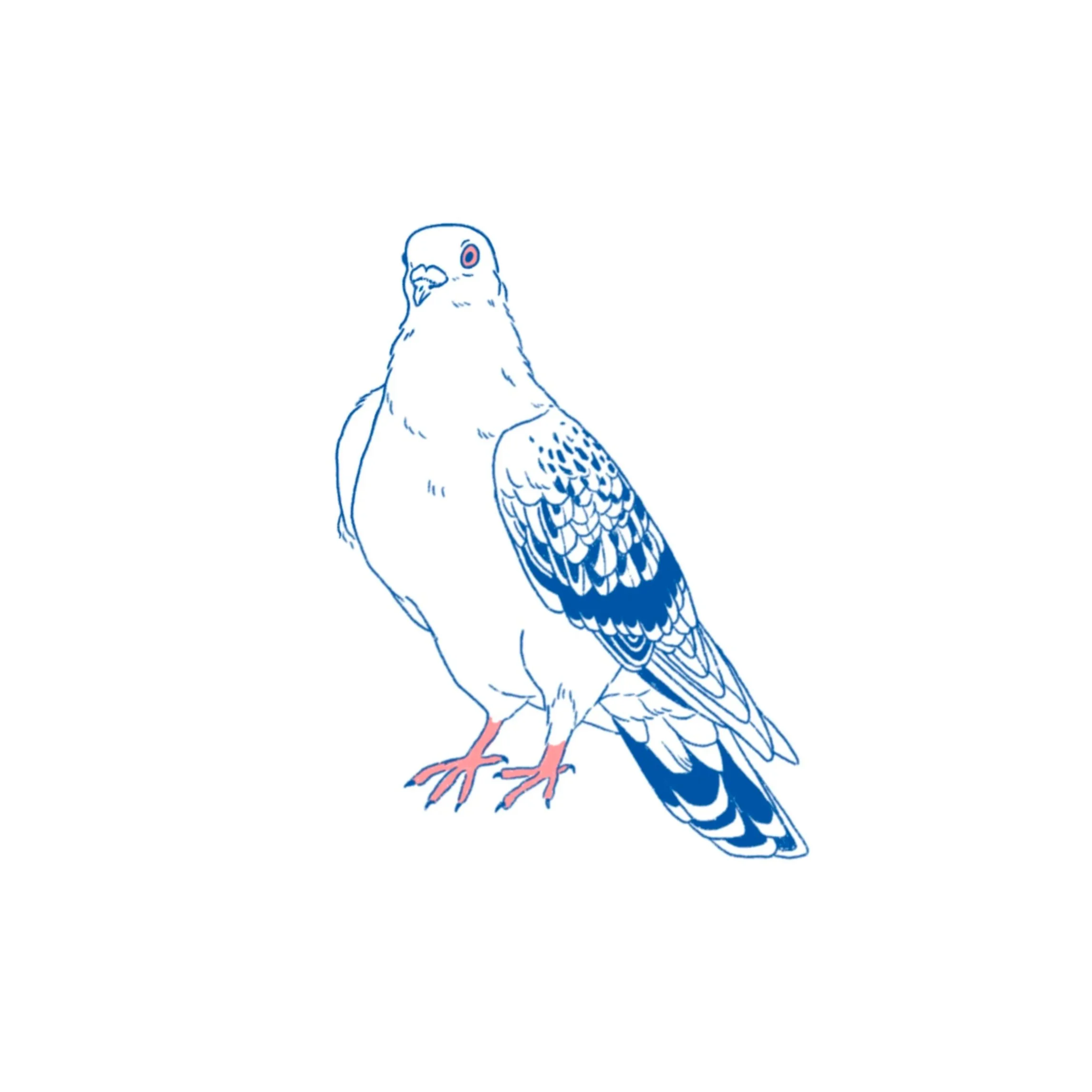 Pigeon Party 02 in color- 3.5 inches minimum