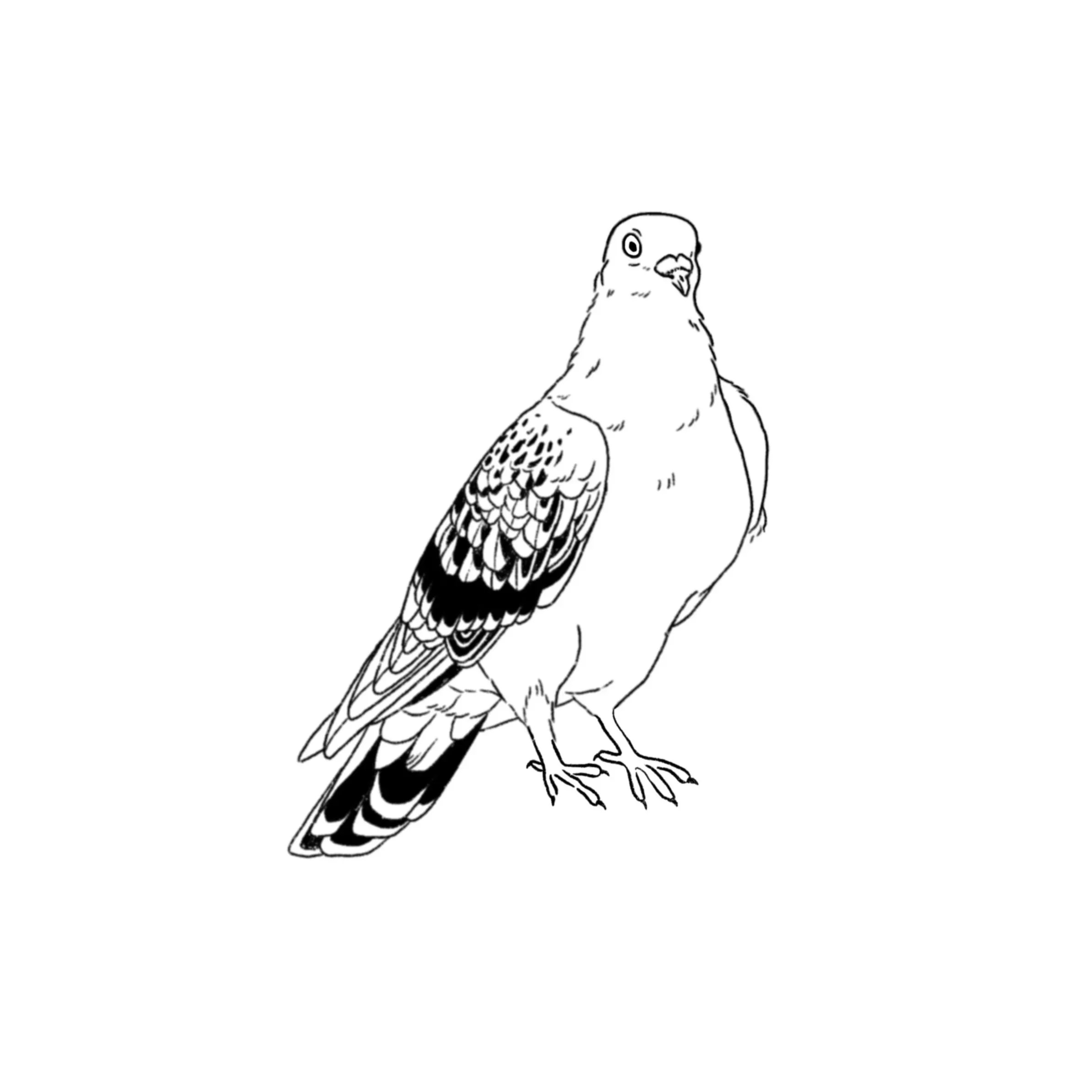 Pigeon Party 02 in black- 3.5 inches minimum