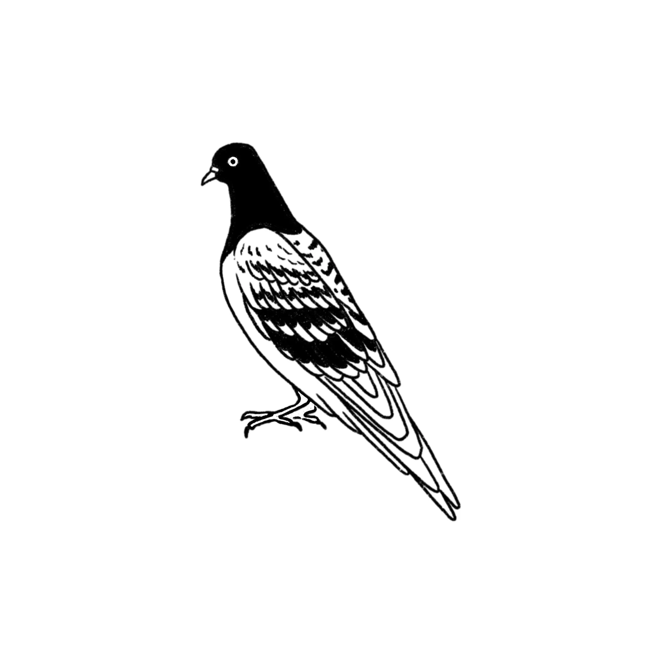 Pigeon Party 05 in black- 3 inches minimum