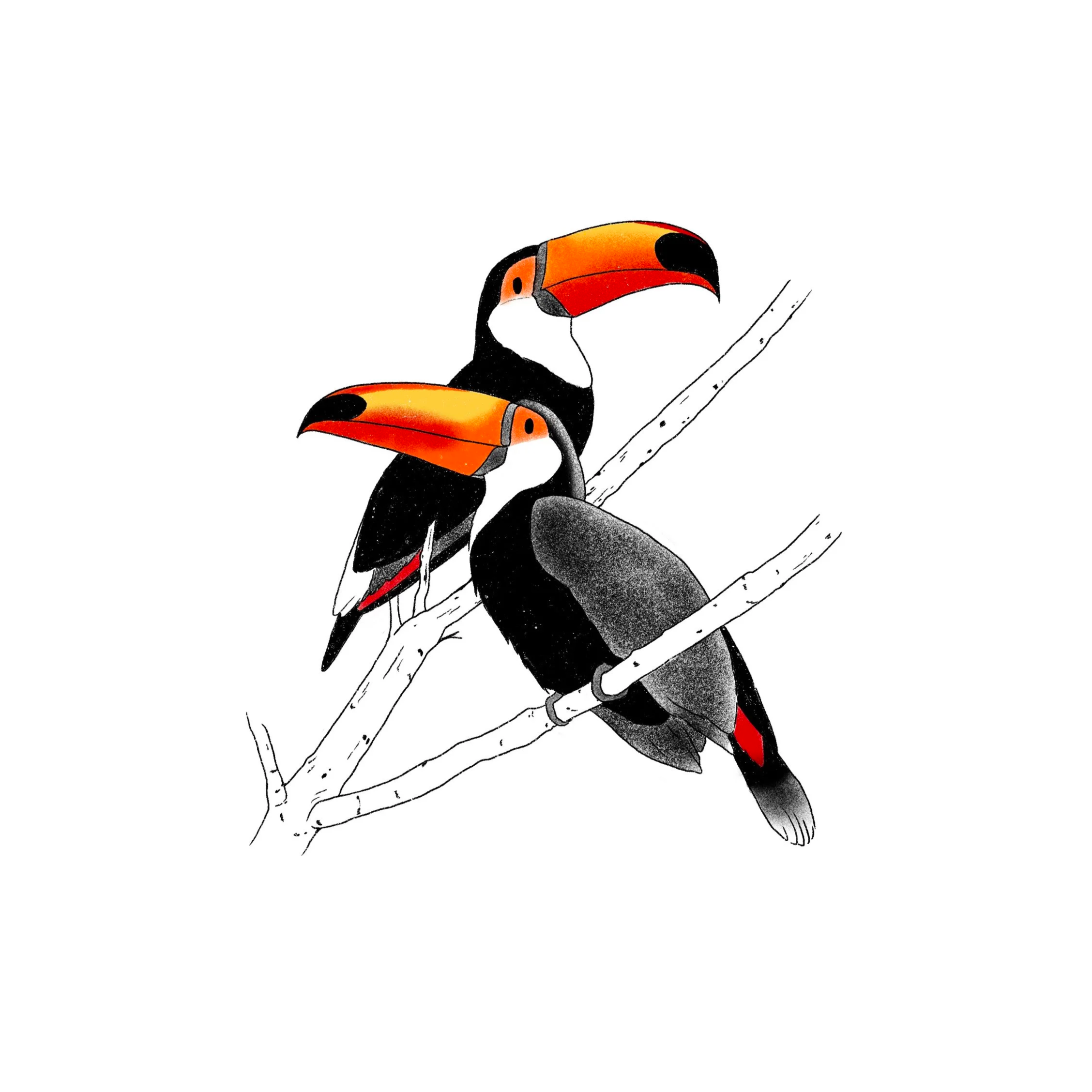 SOLD- two toucans- 3.5 inches minimum