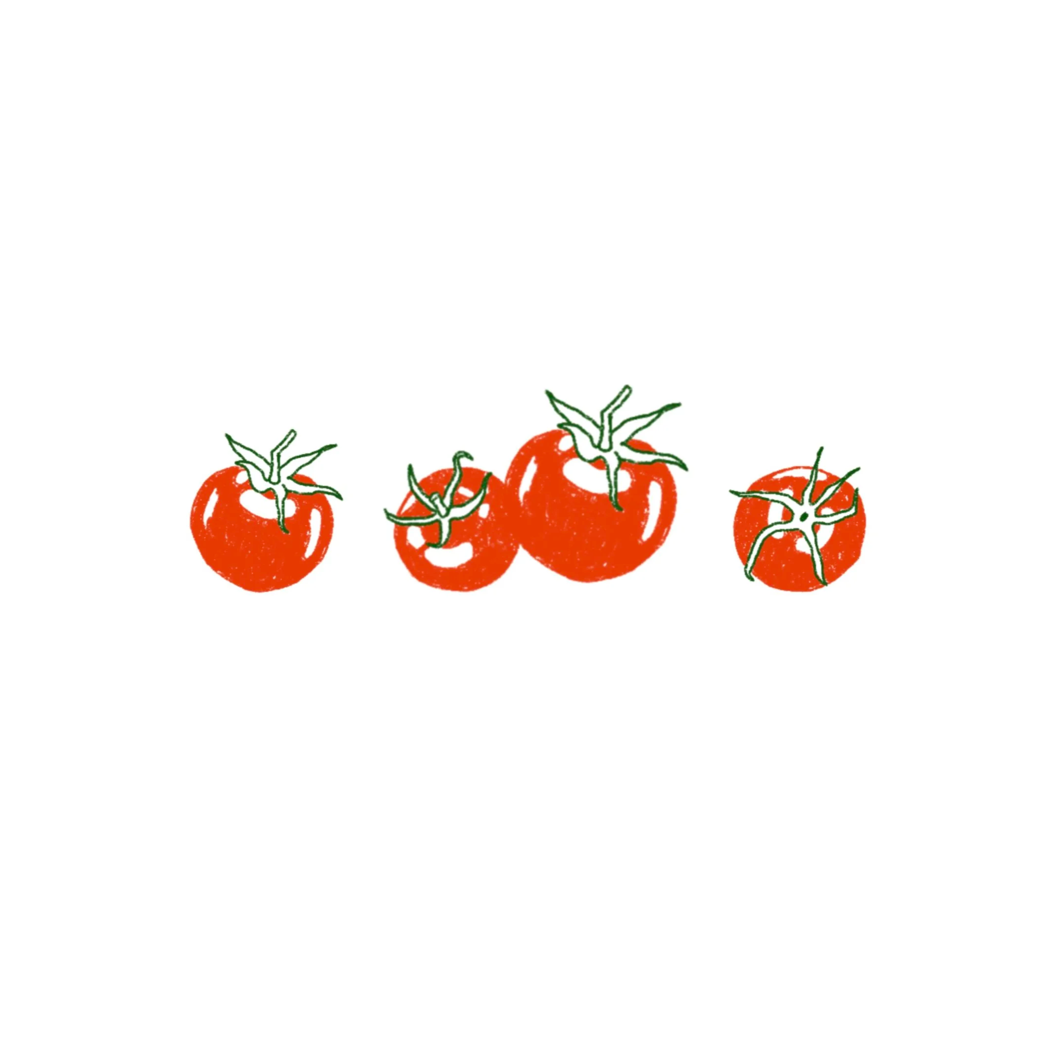 Tomatoesss 4-6- 1 inch or larger