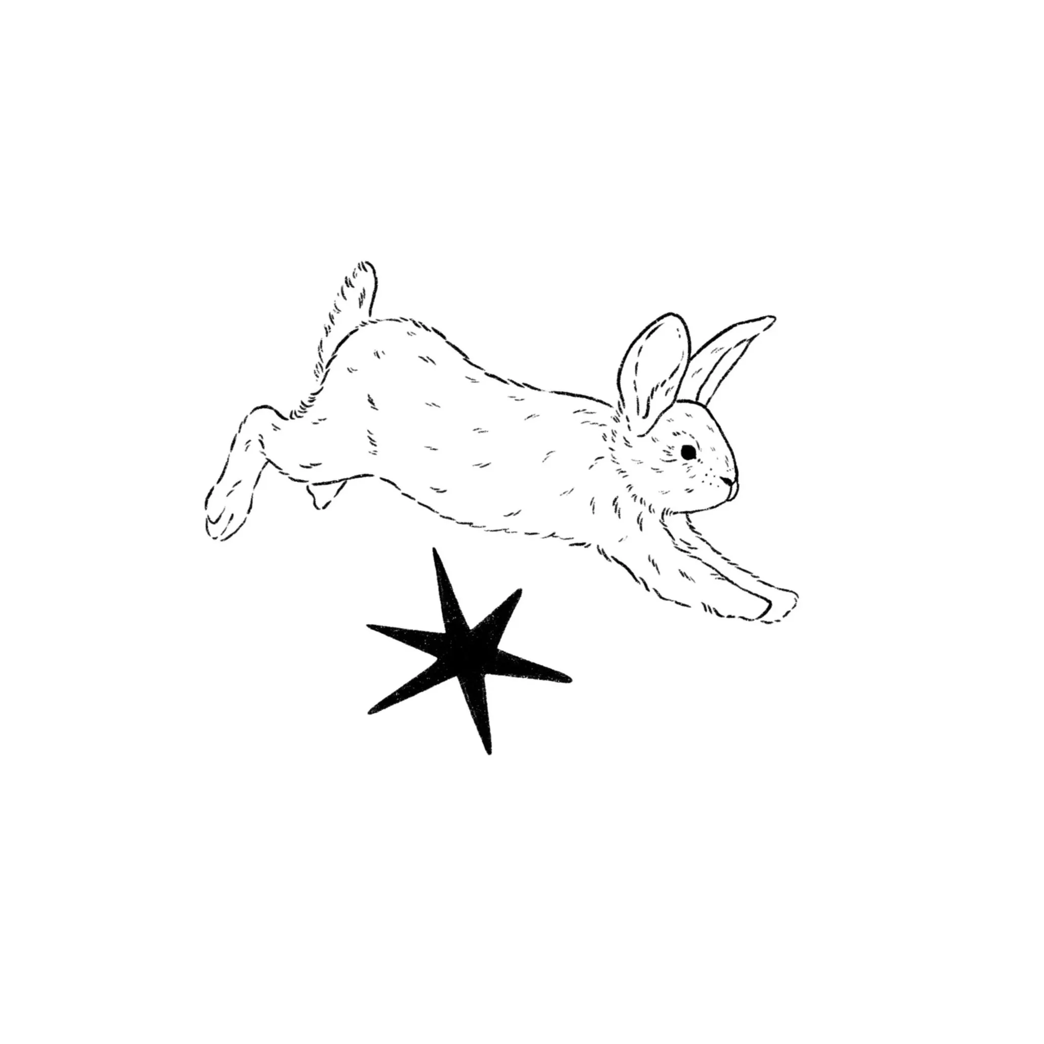 rabbit jumping over a star- 3 inches or larger