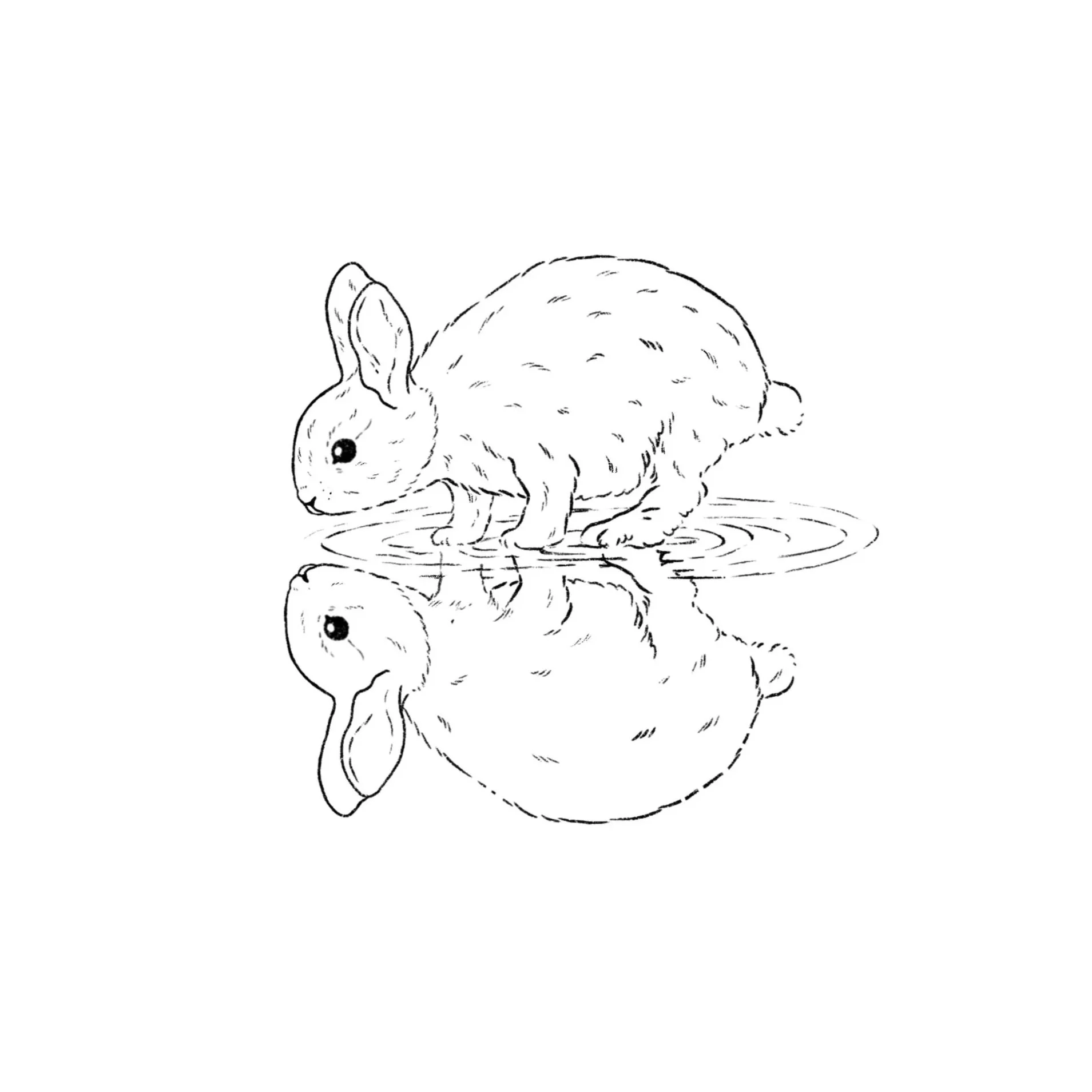 rabbit reflection- 3 inches or larger