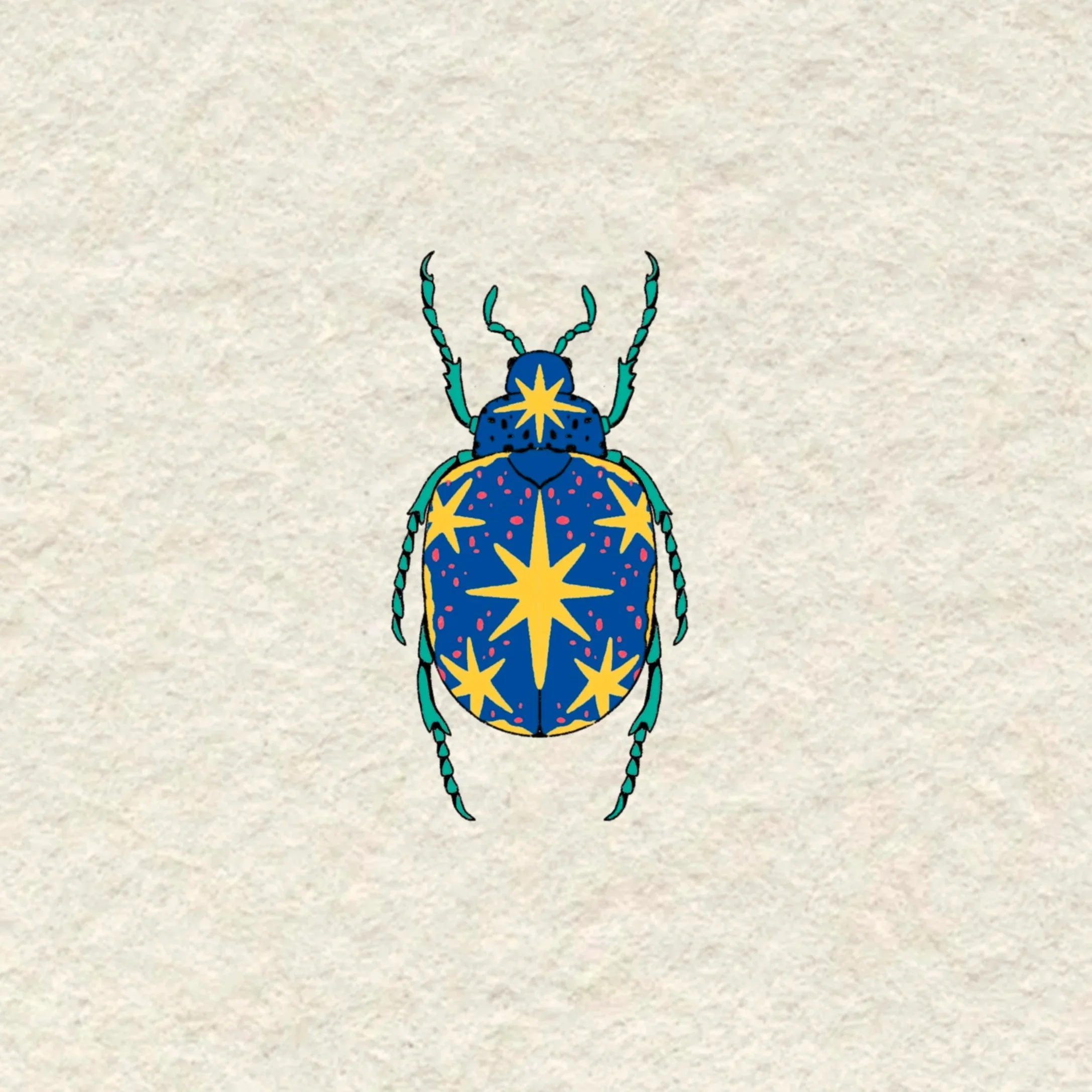 starry beetle in color- 4 inches minimum or larger!
