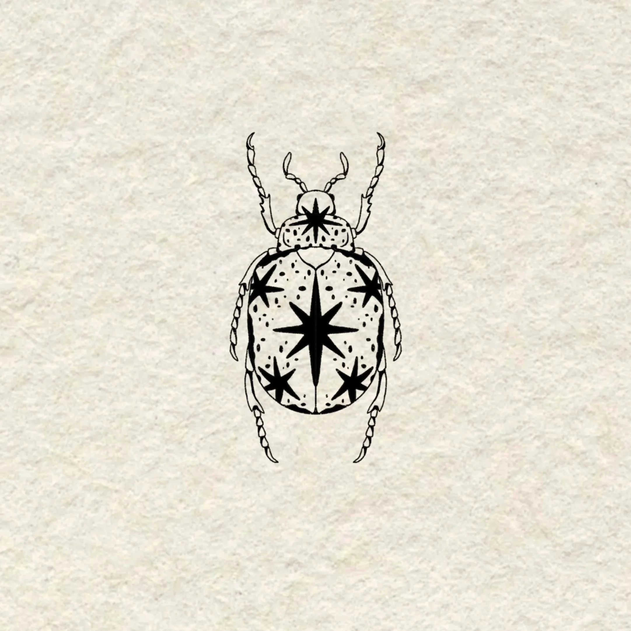 starry beetle in black- 4 inches minimum or larger!