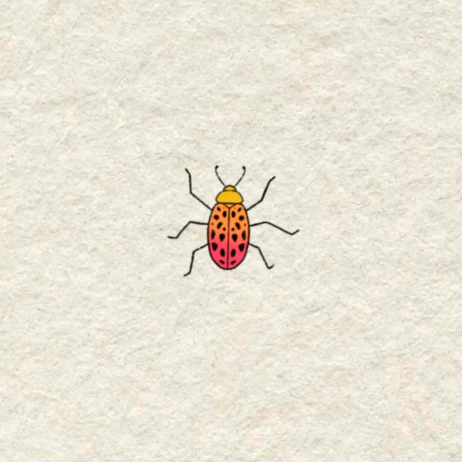 yellow and pink beetle- 2 inches minimum or larger!