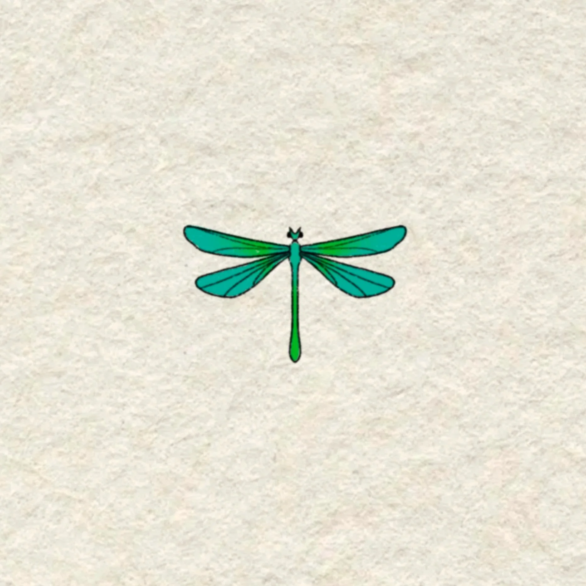 green dragonfly- 2 inches minimum or larger!