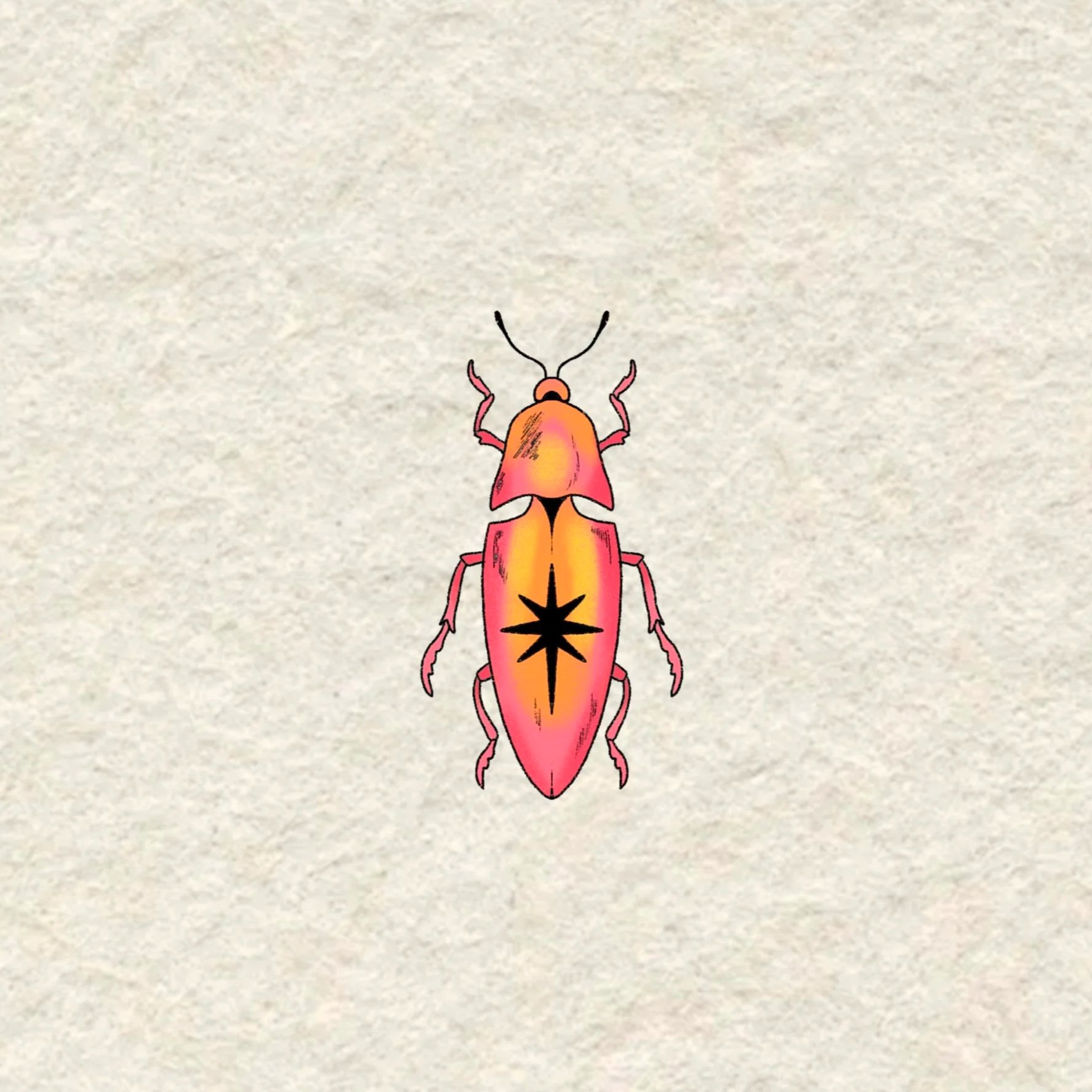 pink star beetle- 3 inches minimum or larger!