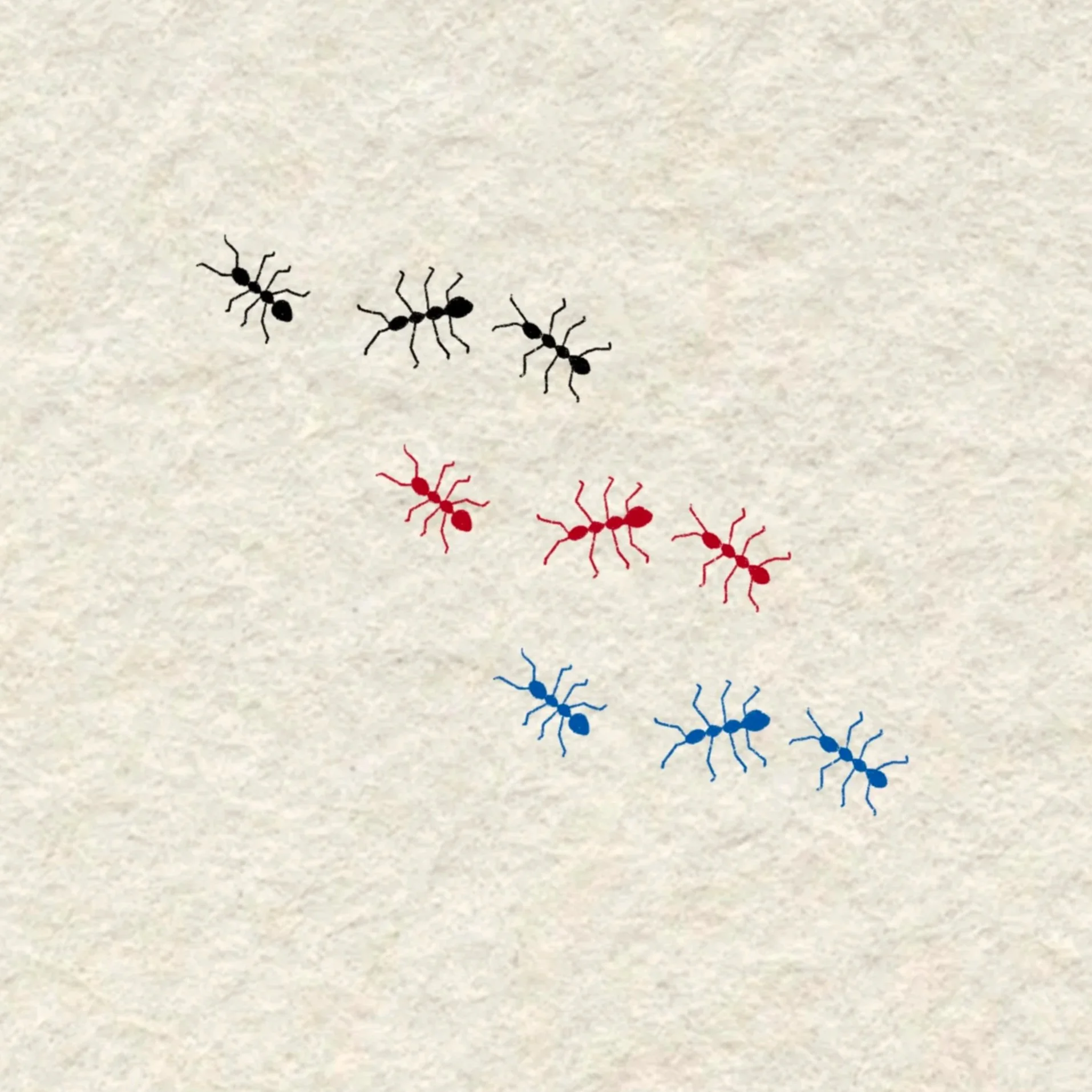 ants (please specify quantity and desired color)- about 1 inch each ant