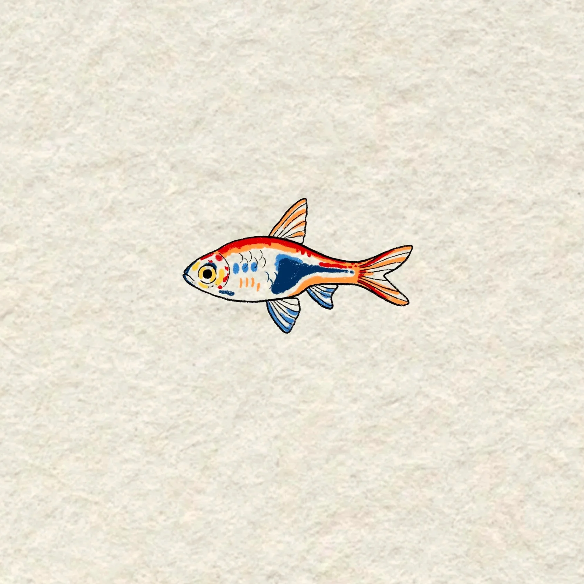 just a lil fishy- 2.5 inches minimum or larger