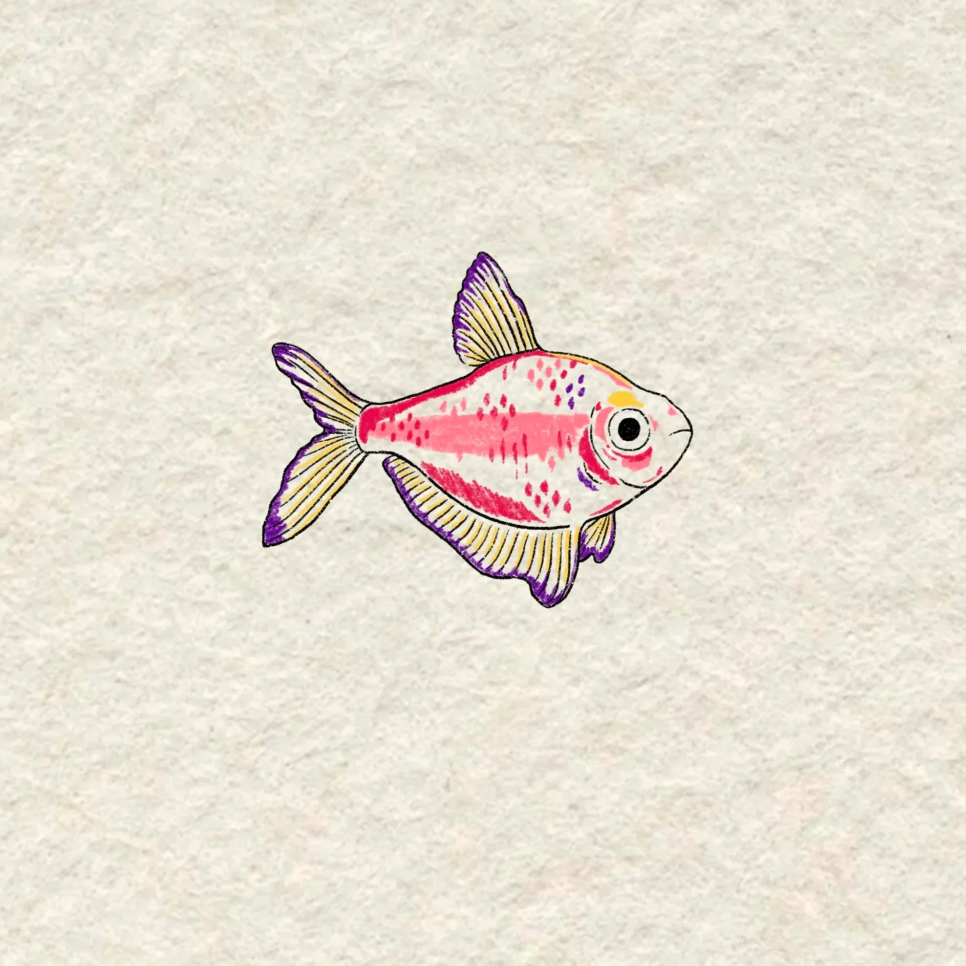 pink fishy- 2.5 inches minimum or larger