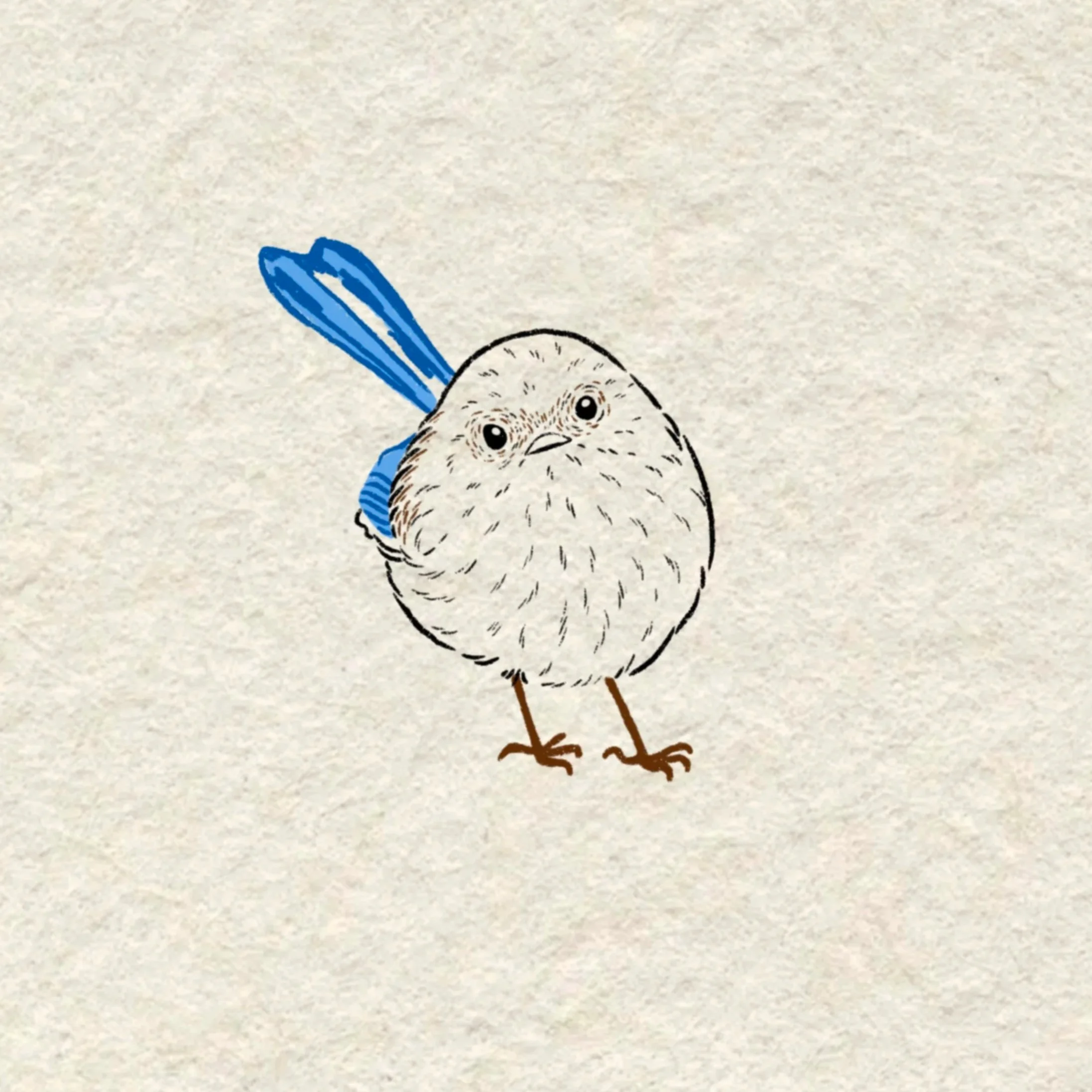 fairy wren- 3.5 inches or larger (would love to do all machine OR machine and handpoke combo!)