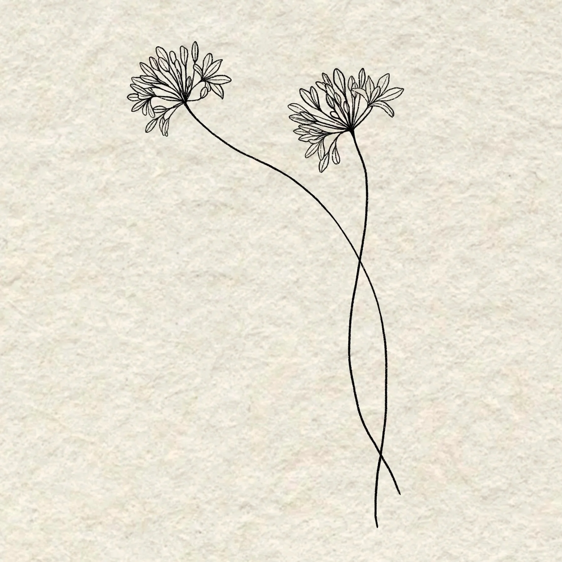 intertwined flowers- 5 inches or larger