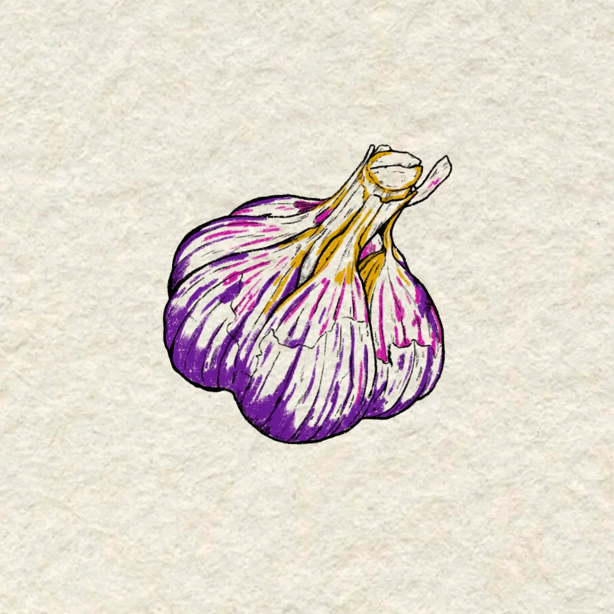 purple garlic bulb- 2.5 inches or larger (would love to do all machine OR machine and handpoke combo!)