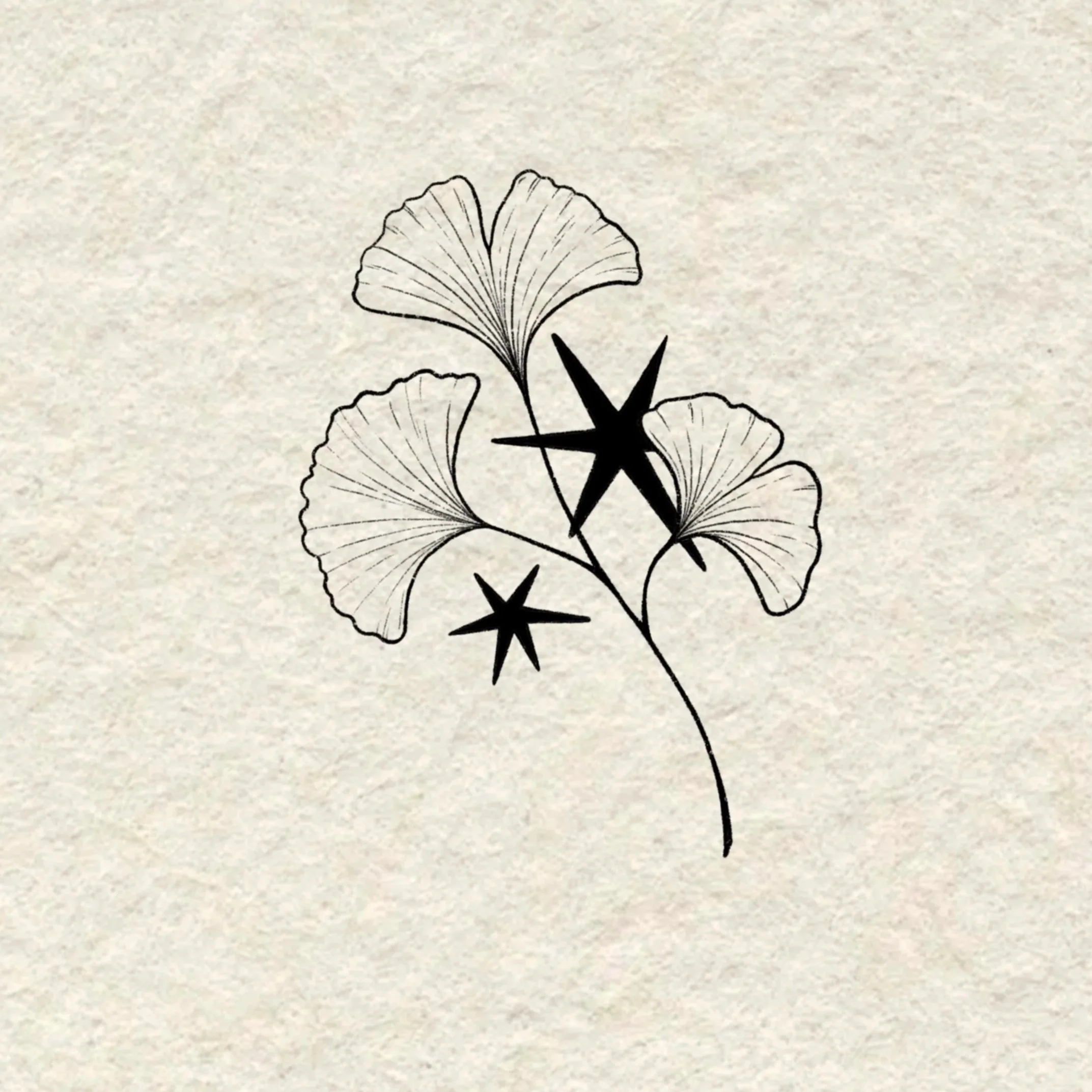 ginkgo with stars- 4 inches or larger