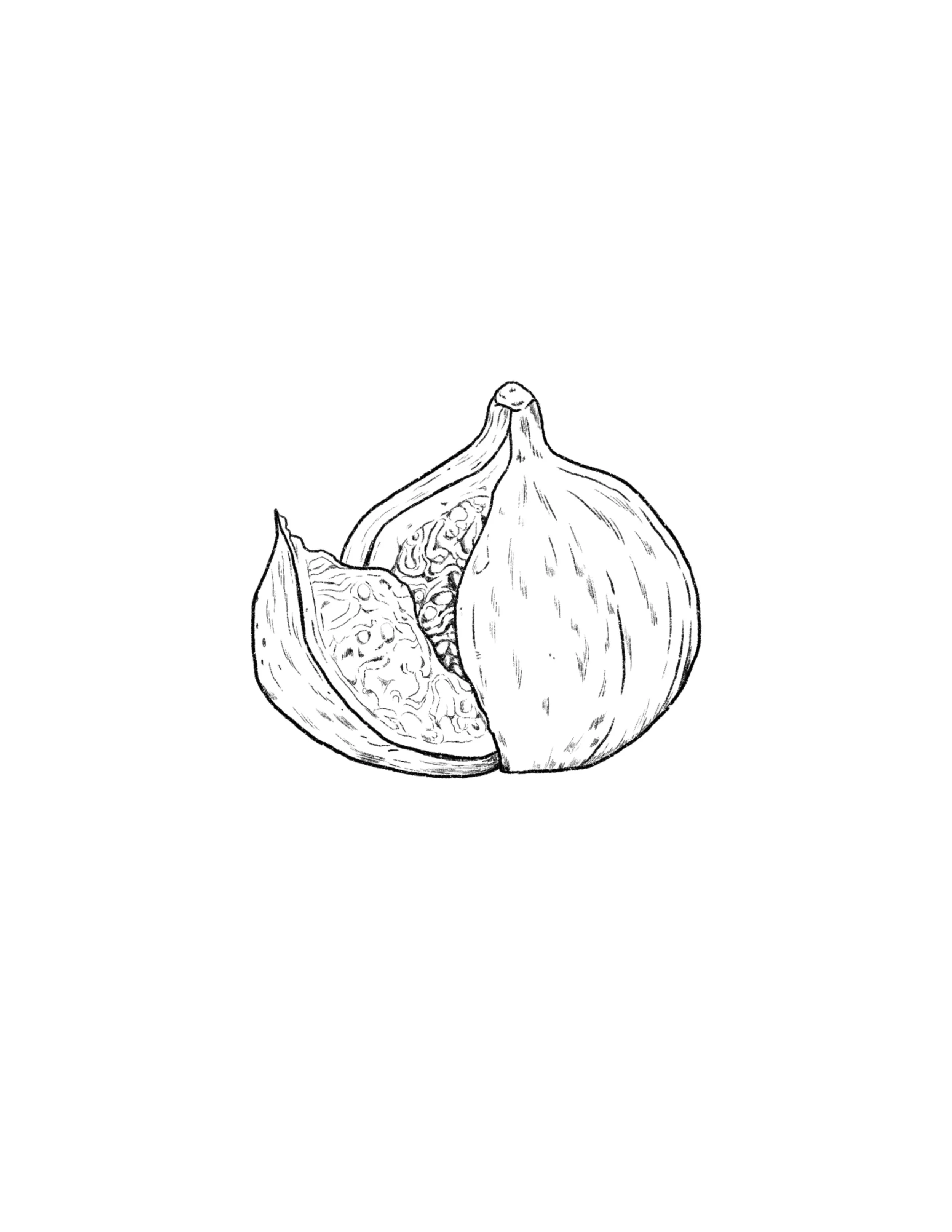 fig in black- 2.5 inches minimum