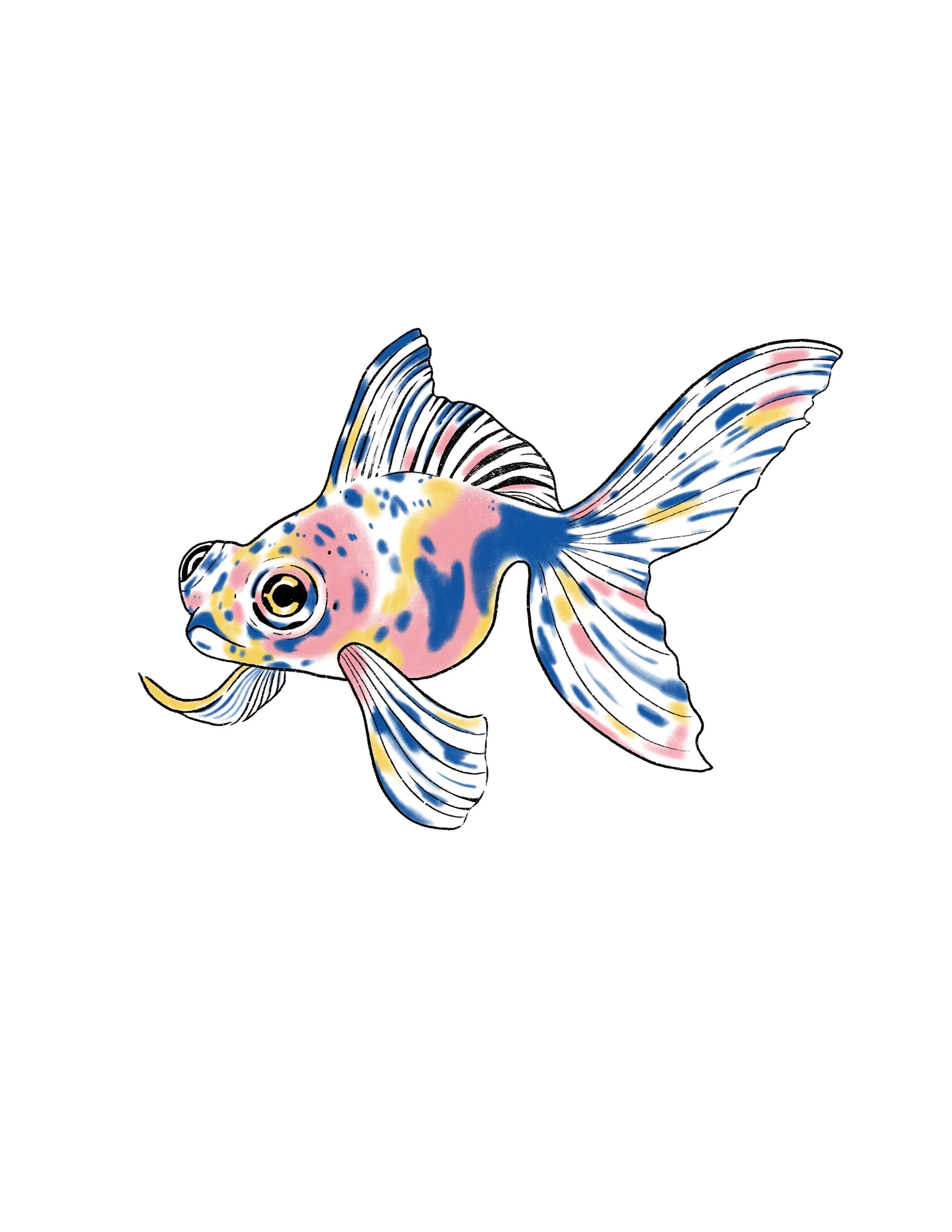 pastel goldfish- 4 inches wide or larger