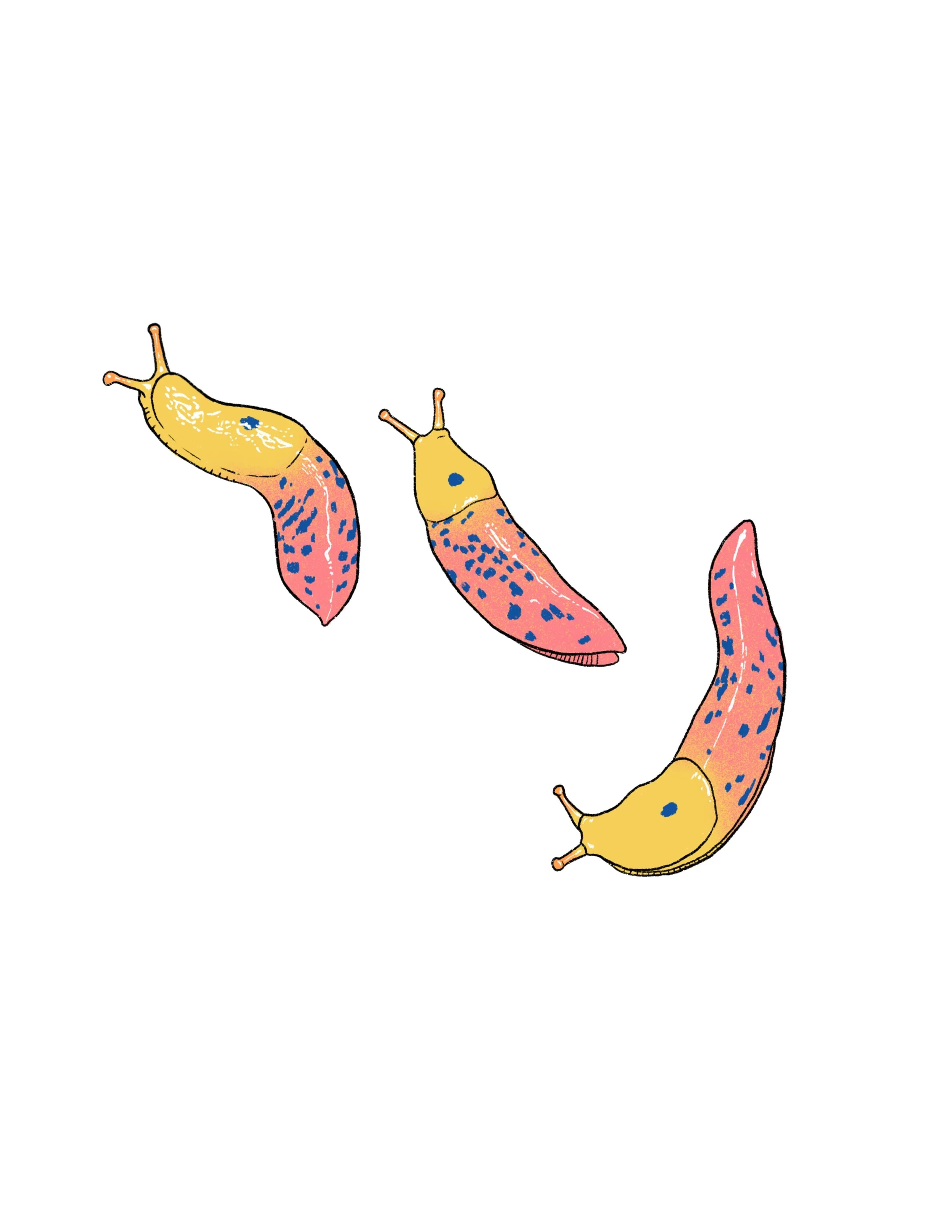 SOLD- slugs in color- 2.5 inches long minimum each slug