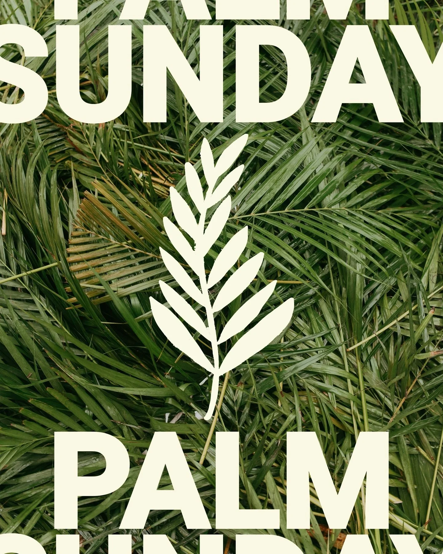 Palm Sunday is tomorrow at 10 AM! 🌿

Join us as we celebrate Jesus&rsquo; arrival in Jerusalem and kick off Holy Week. 

See you there, church!