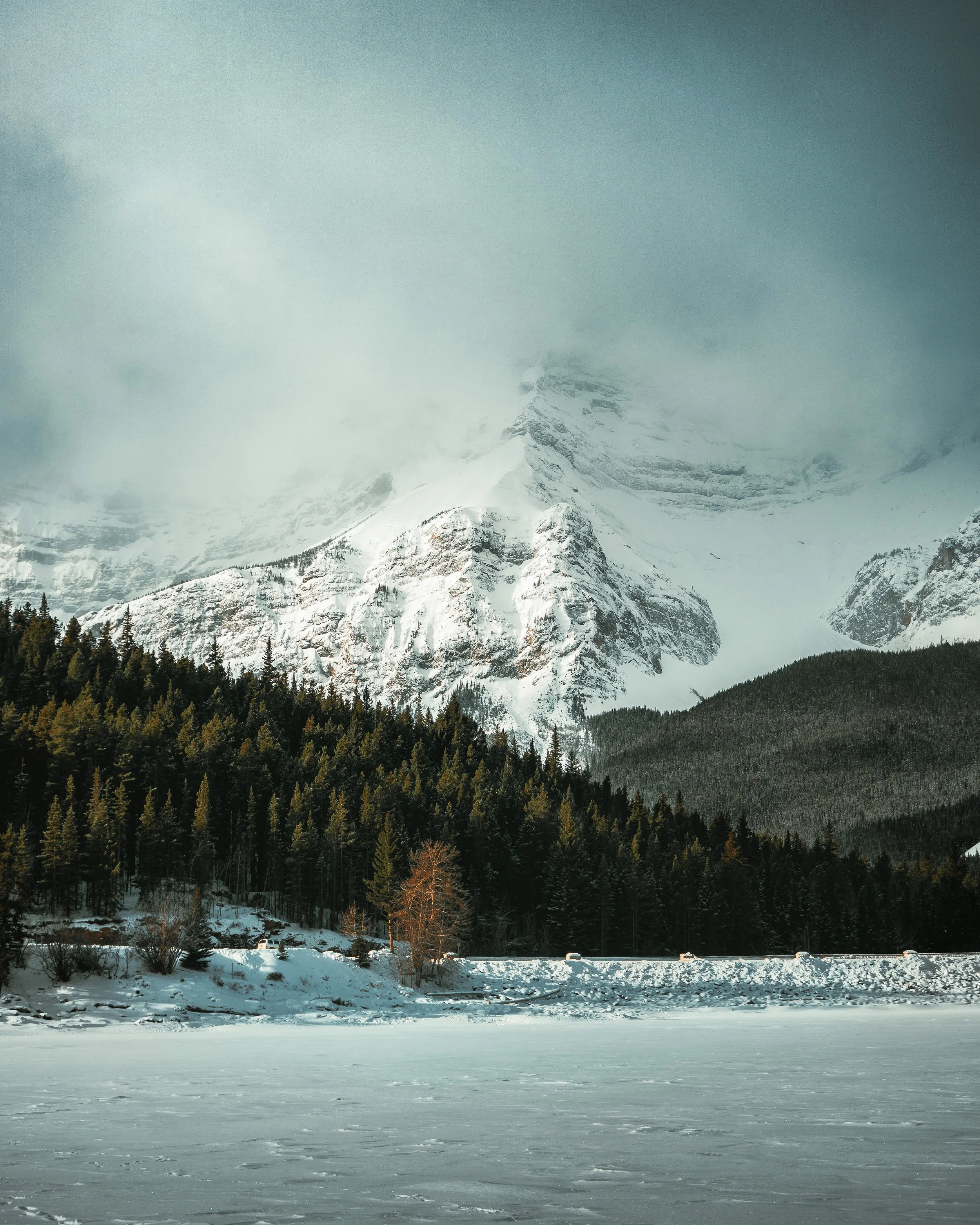 SONY ILCE-6000 3276x4095_004636.jpg