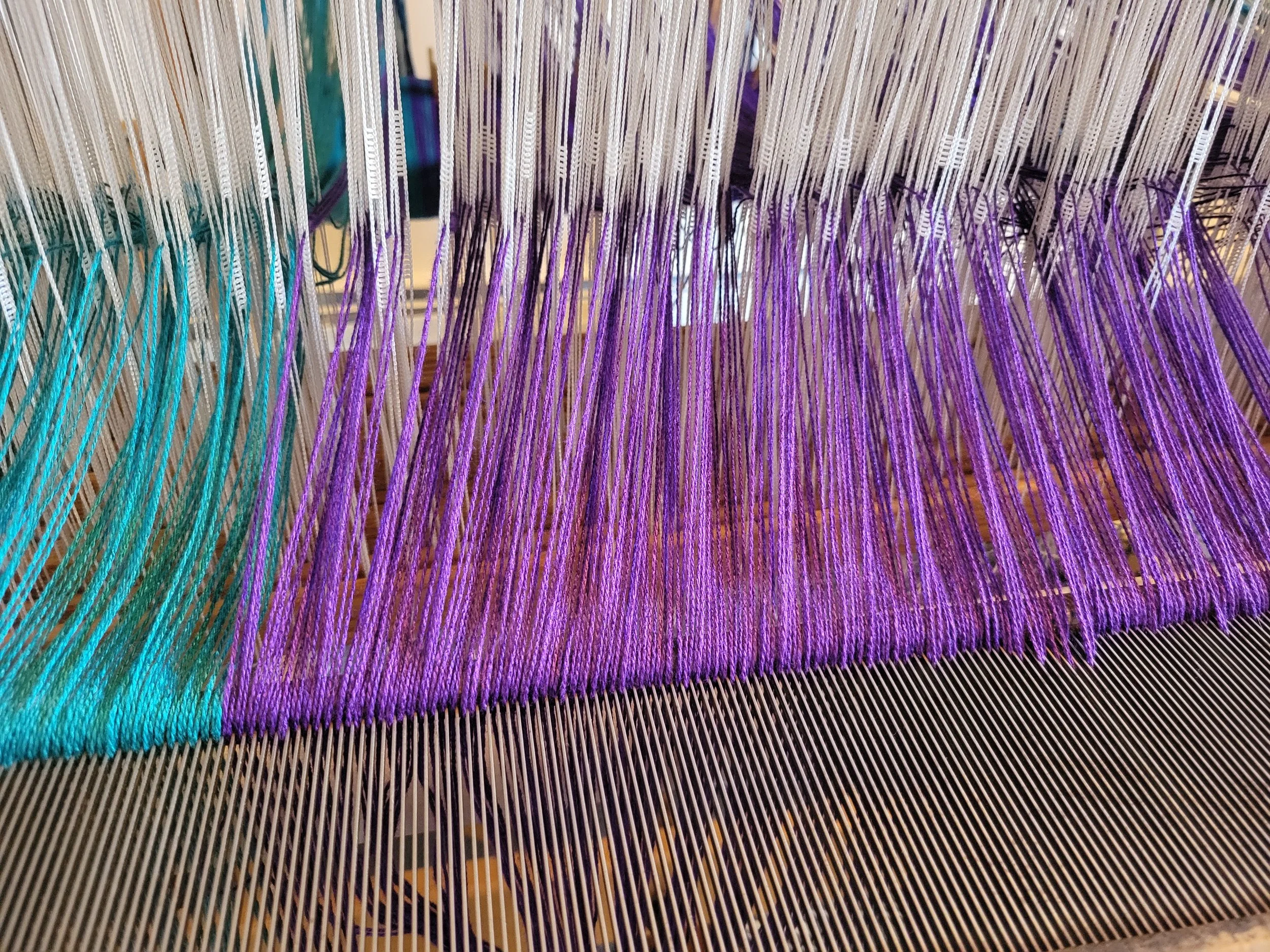 Warp ends through the heddles and reed.