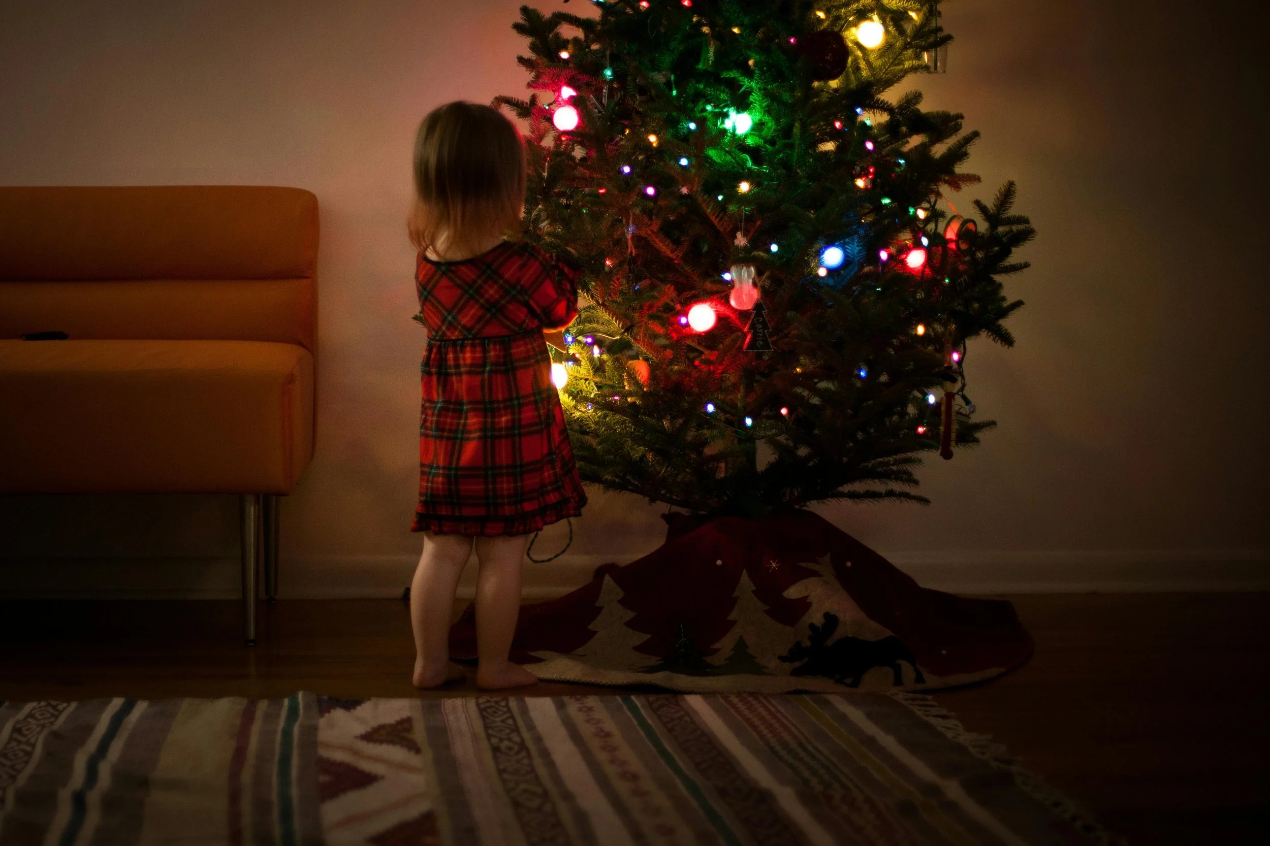 Holiday Sensory Survival Guide