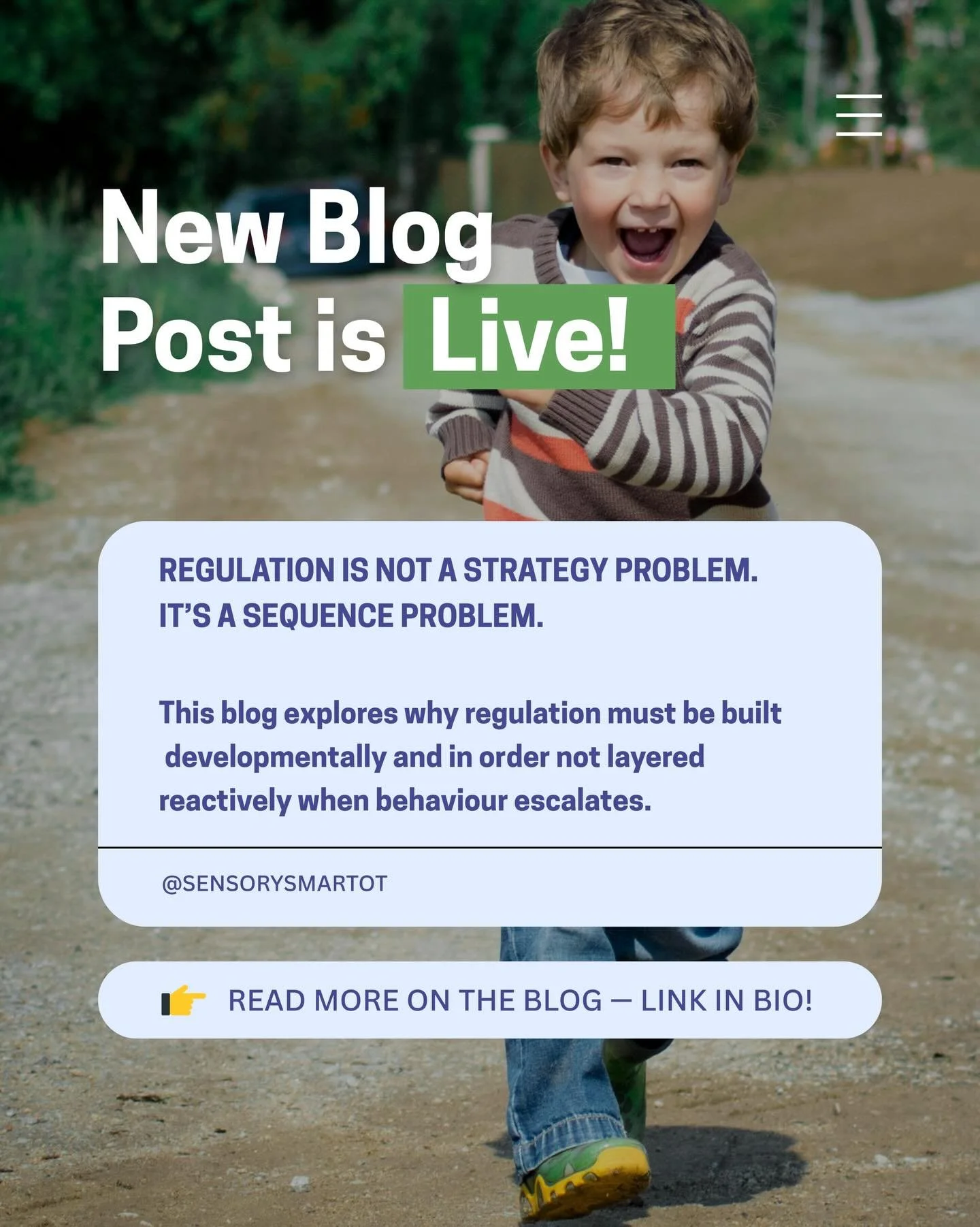 Regulation Isn&rsquo;t a Strategy Problem. 
It&rsquo;s a Sequence Problem

When behaviour plans fail, 
the profession often responds by adding more tools
.
But what if the issue isn&rsquo;t the strategy, it&rsquo;s the order?

This blog explores why 