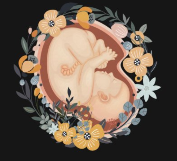 All Baby! Ultrasound Studio LLC 