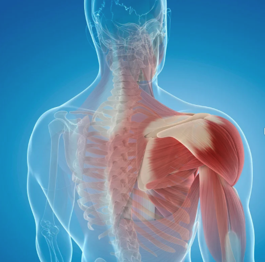 Yoga for Yoga for Shoulder Injuries with Joe Miller