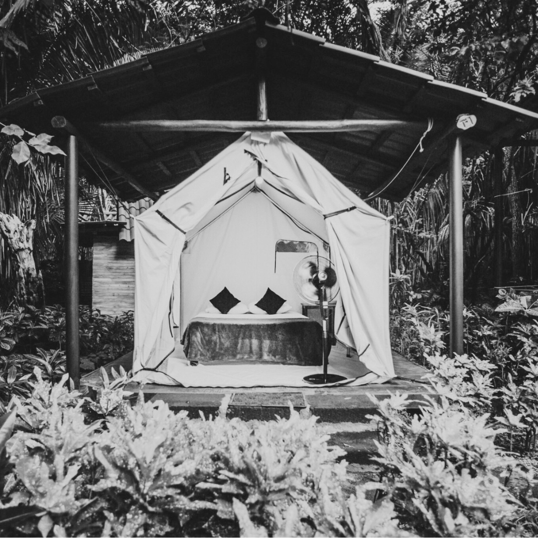Inside a canvas tent with a bed, two pillows, a bedside table with a green towel, and a standing fan.