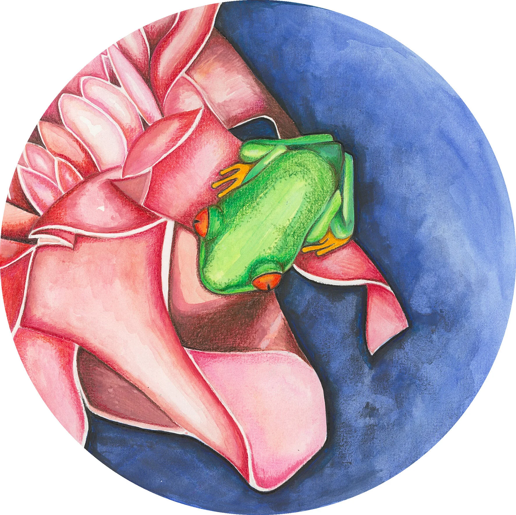 Watercolour &amp; coloured pencil artwork
