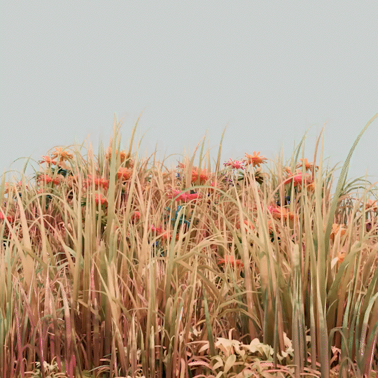 Generative_Flower_Field.gif