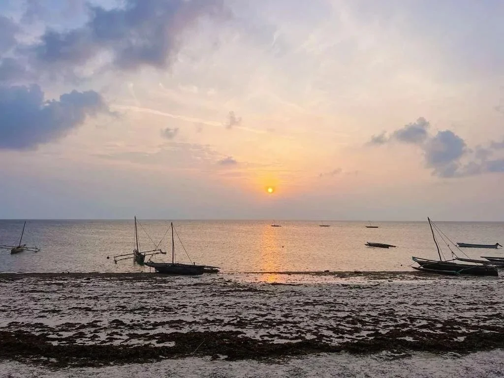 Sit on the soft sandy beach and catch a Zanzibar sunset... 