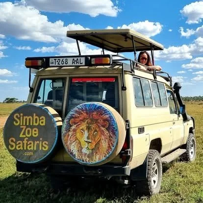 Dreamy safari under African skies... 