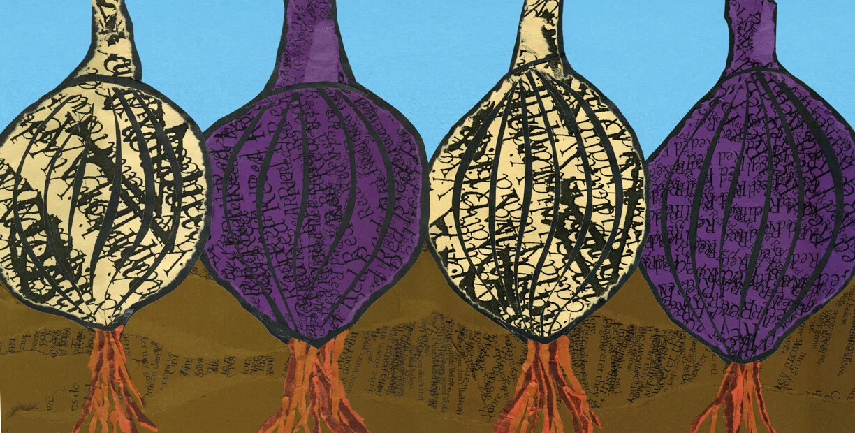 Spread for onion farming concept, self directed.