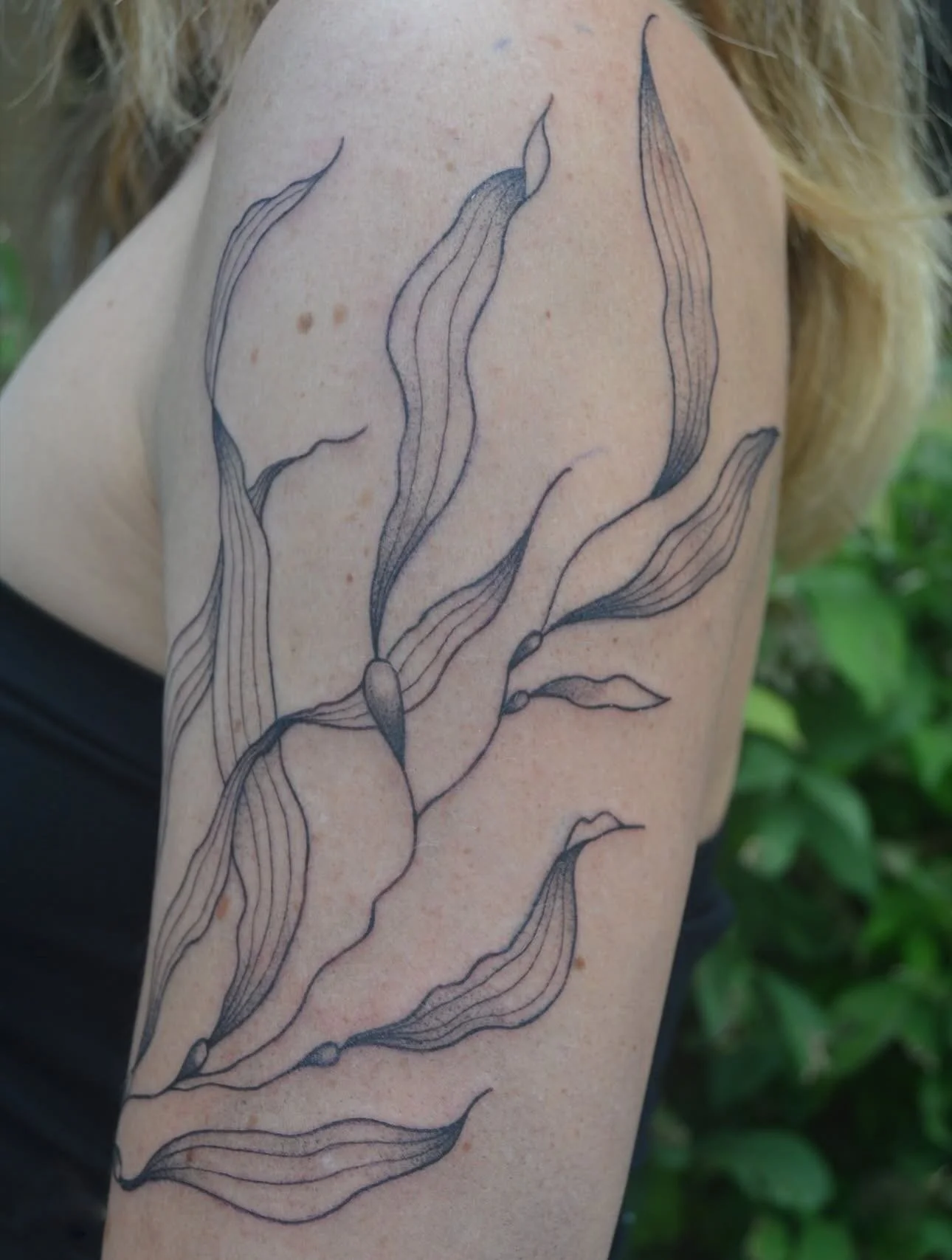 Tattoo by @ayshasuntattoos π Follow the link in their bio for appointments! 
π₯ @larosatattooco 
3307 S College Ave Unit 102-B
Fort Collins, CO 80525
(970) 682-2946