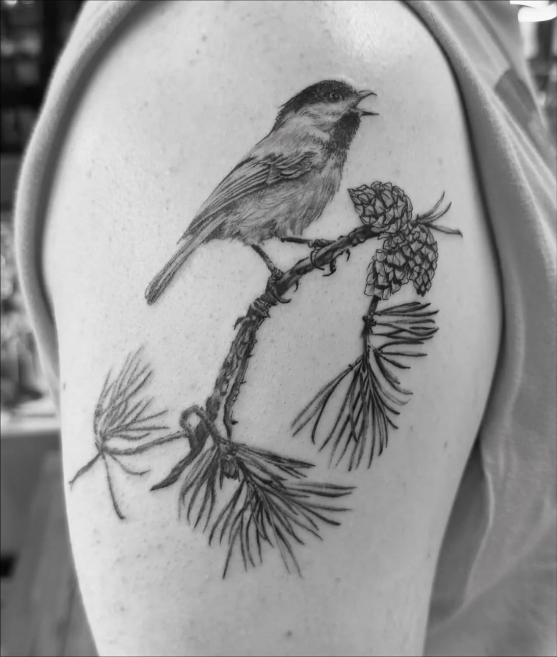 Tattoo by @gusespinozajr π² Follow the link in his profile for appointments! •
π₯ @larosatattooco
3307 S College Ave Unit 102-B
Fort Collins, CO 80525
(970) 682-2946