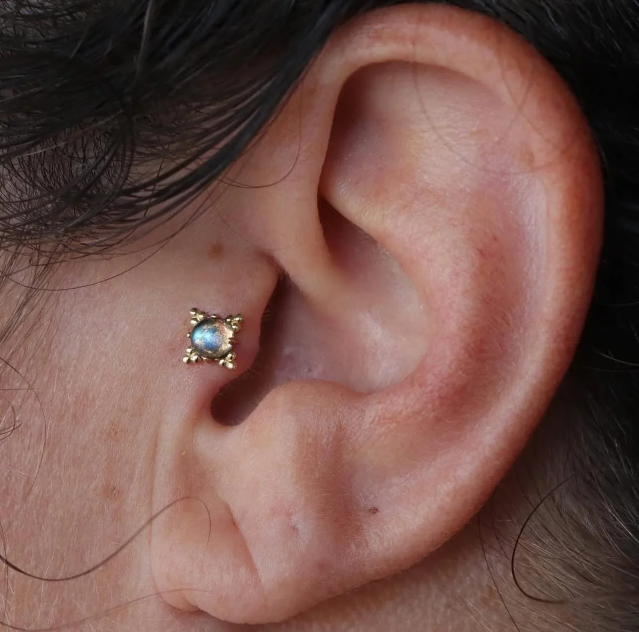 Tragus piercing by @mothcults 🫧 18k yellow gold + genuine labradorite &lsquo;Zia&rsquo; by @anatometalinc 💫

We have a piercer on staff Tuesday through Saturday, noon-6pm! &bull; 

🥀@larosatattooco 
3307 S College Ave Unit 102-B
Fort Collins, CO 8