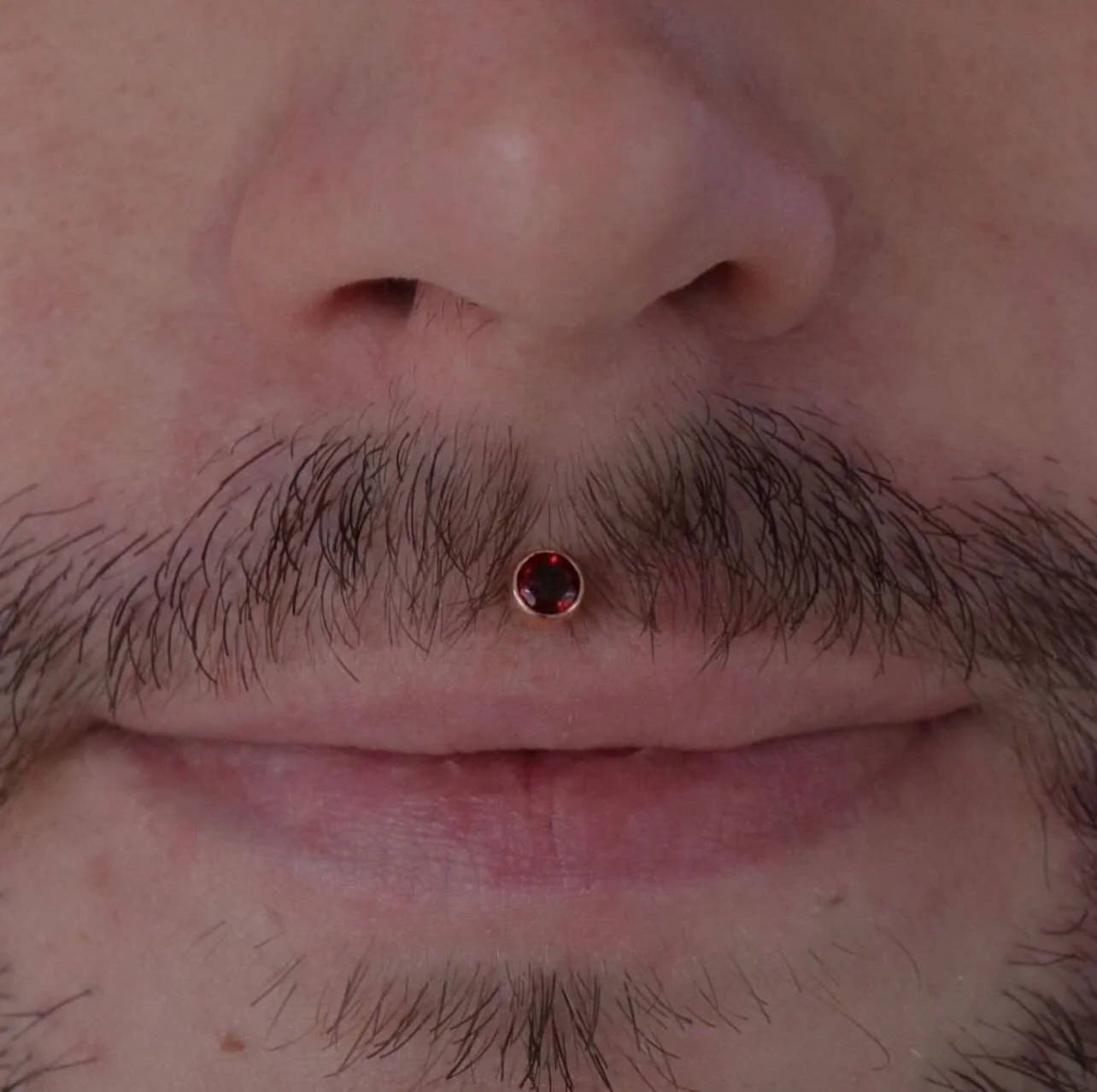 Healed philtrum piercing by @mothcults featuring genuine garnet set in 18k rose gold by @anatometalinc 💃🏼✨

We have a piercer on staff Tuesday through Saturday, noon-6pm! &bull; 

🥀@larosatattooco 
3307 S College Ave Unit 102-B
Fort Collins, CO 80