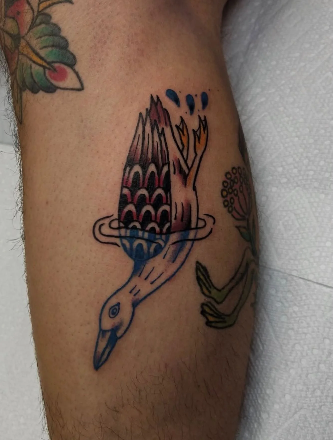 Tattoo by @lilymaytattoos 🦆 You can book with Lily by DMing through her page!

🥀@larosatattooco 
3307 S College Ave Unit 102-B
Fort Collins, CO 80525
(970) 682-2946
.
.
.
.
.
american traditional tattoos, color tattoos, duck tattoo, fort collins ta