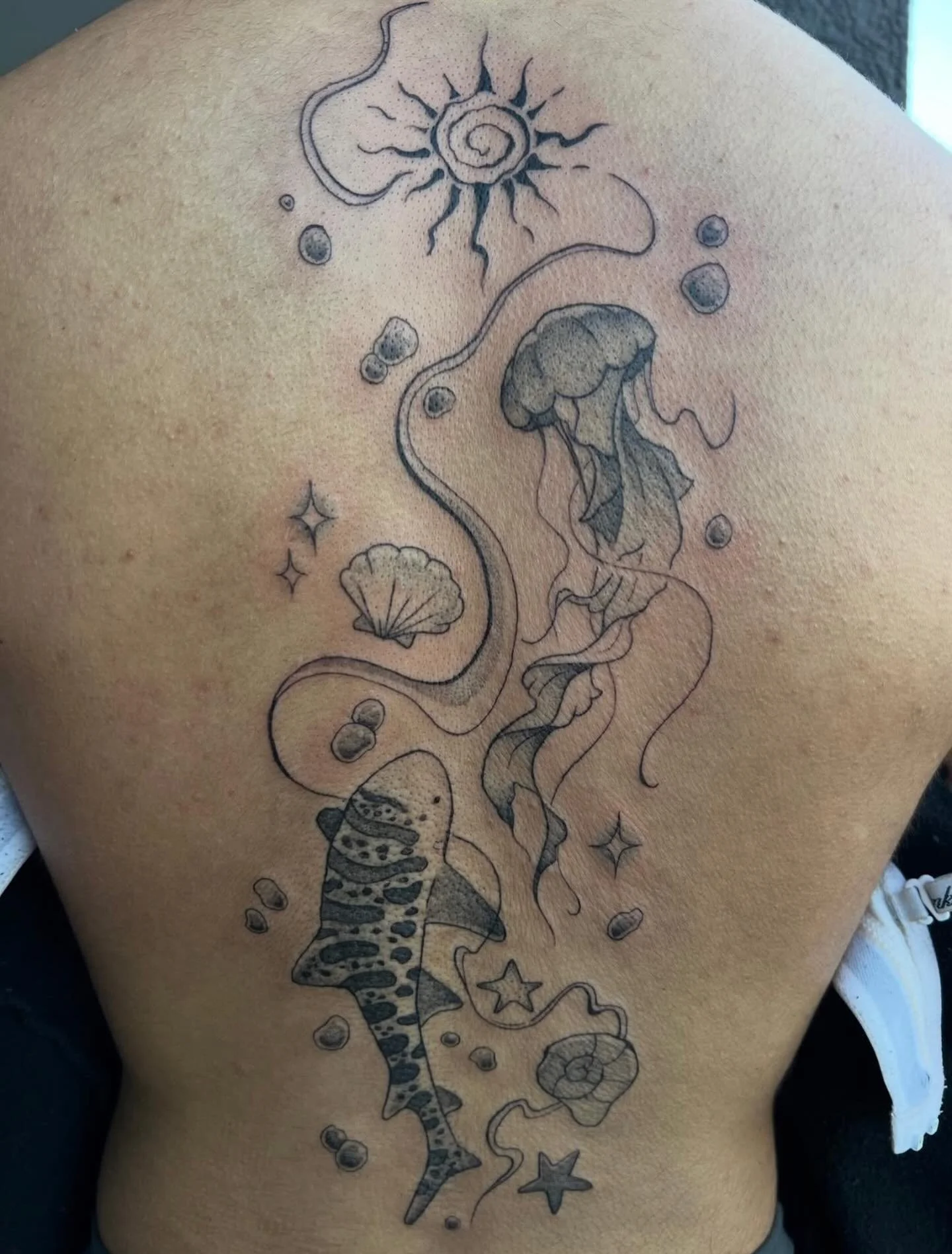 Tattoo by @ayshasuntattoos 🪼 You can book with Aysha by following the link in their bio! 

🥀 @larosatattooco 
3307 S College Ave Unit 102-B
Fort Collins, CO 80525
(970) 682-2946
.
.
.
.
.
back tattoo, black and grey tattoos, ocean tattoo, whale sha