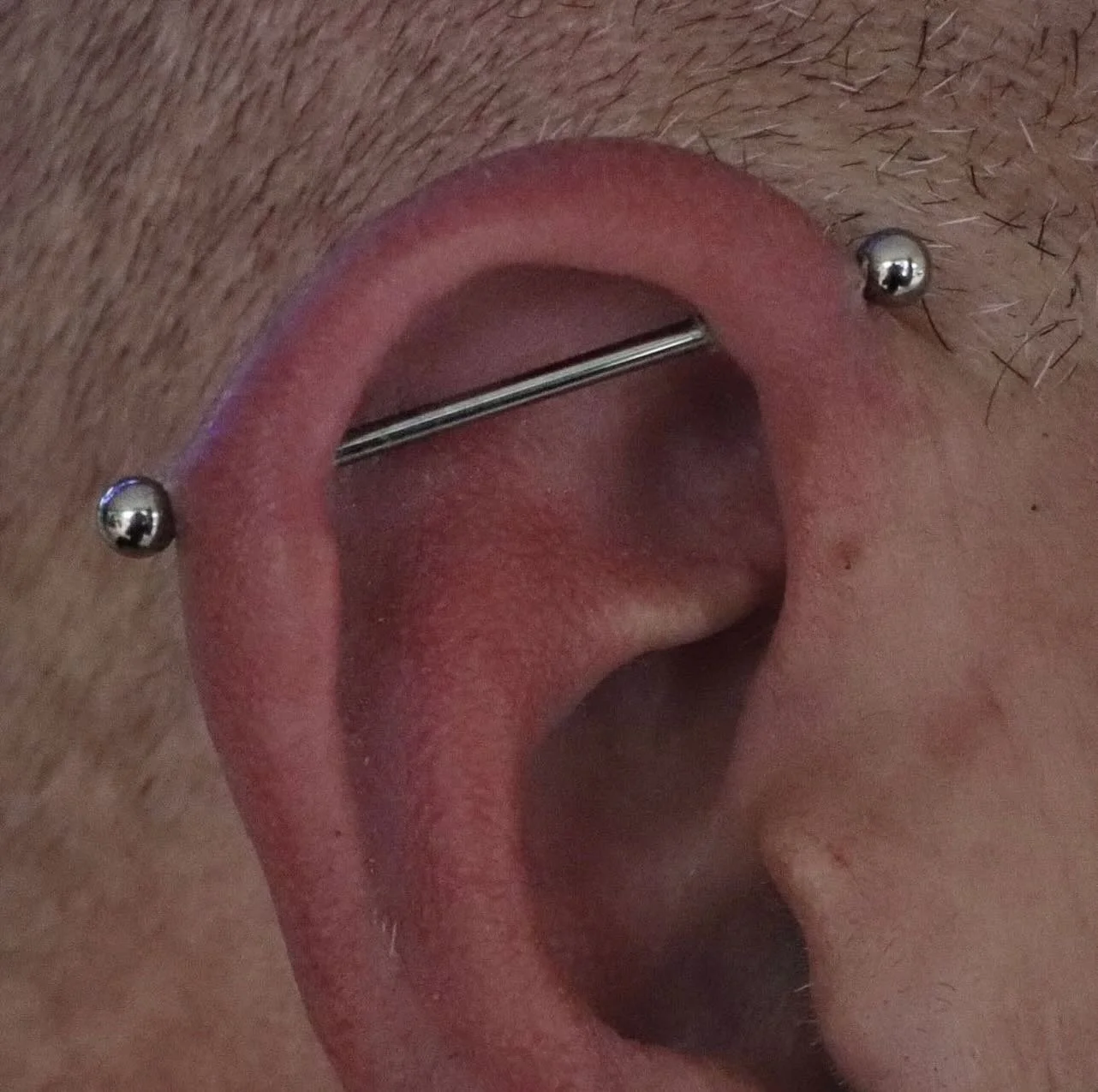 Healed industrial piercing by @mothcults ⛓️&zwj;💥 implant grade titanium by @anatometalinc ✨

We have a piercer on staff Tuesday through Saturday, noon-6pm! &bull; 

🥀@larosatattooco 
3307 S College Ave Unit 102-B
Fort Collins, CO 80525
(970) 682-2