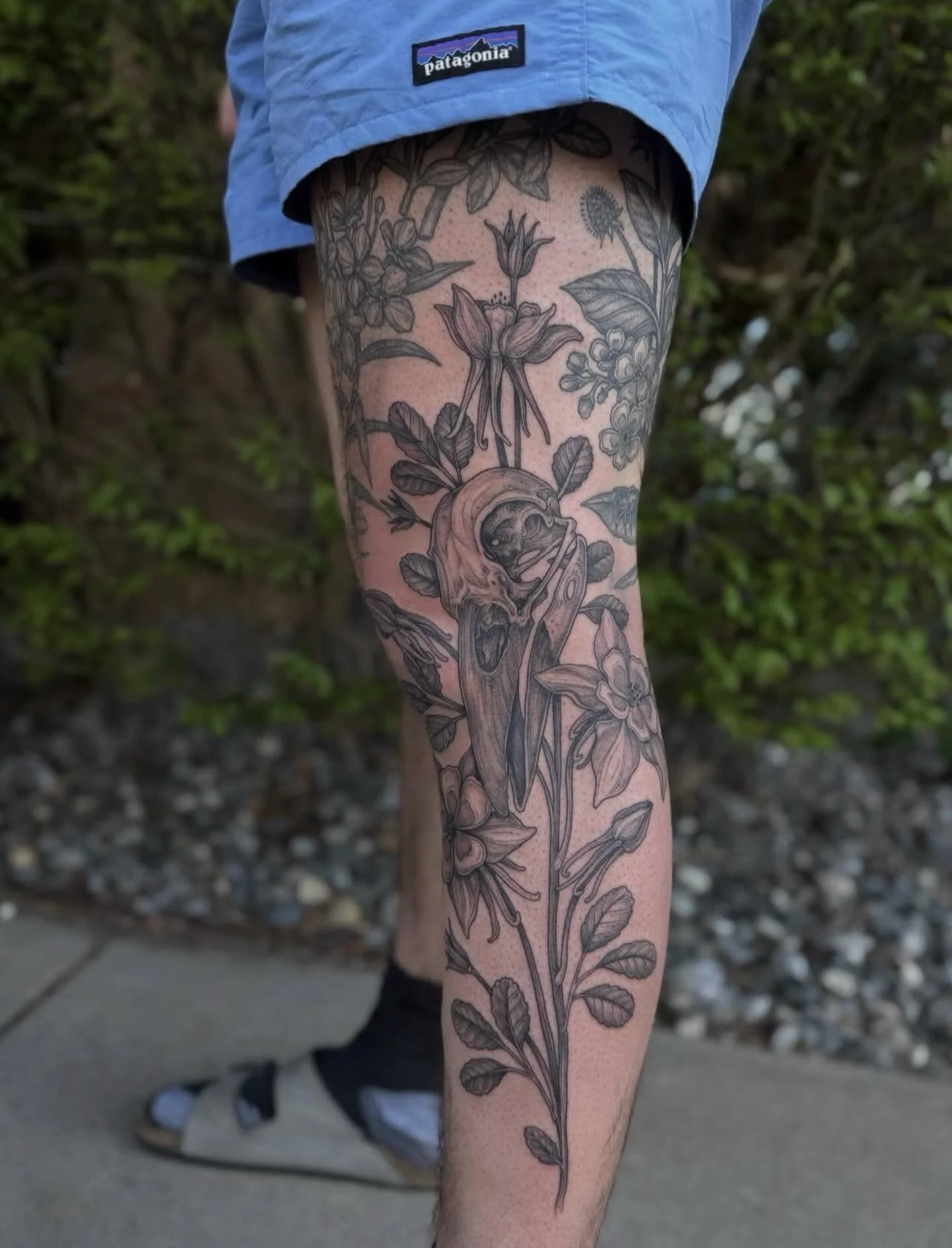 Tattoo by @manders.art 🐦&zwj;⬛ Amanda&rsquo;s books are currently closed, so keep an eye on her page for updates when she&rsquo;ll be accepting new clients!

🥀 @larosatattooco 
3307 S College Ave Unit 102-B
Fort Collins, CO 80525
(970) 682-2946