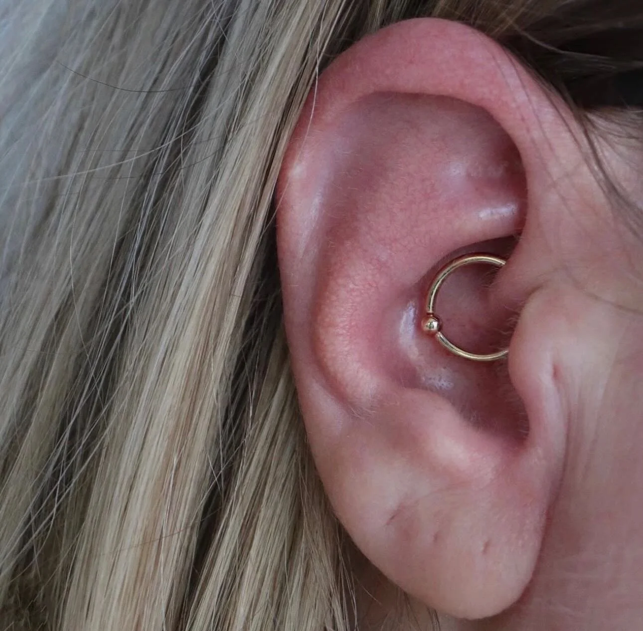 Daith piercing by @mothcults 🍒 14k rose gold fixed bead ring from @bvla @bvlalove ✨

We have a piercer on staff Tuesday through Saturday, noon-6pm! &bull; 

🥀@larosatattooco 
3307 S College Ave Unit 102-B
Fort Collins, CO 80525
(970) 682-2946