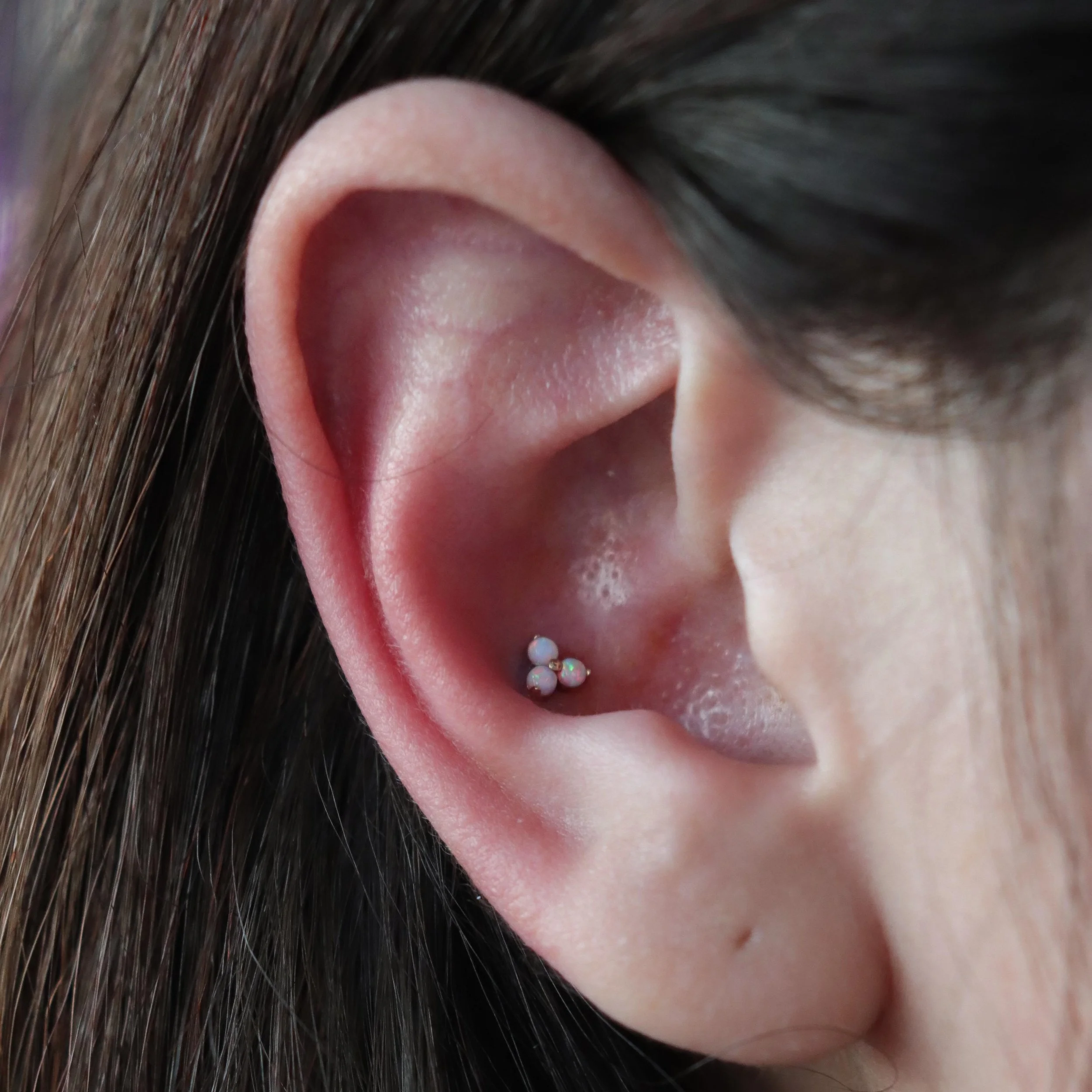 Conch piercing by @emerald.cowgirl ✨ 18k yellow gold &amp; white opals by @anatometalinc 💫

We have a piercer on staff Tuesday through Saturday, noon-6pm! &bull; 

🥀@larosatattooco 
3307 S College Ave Unit 102-B
Fort Collins, CO 80525
(970) 682-294