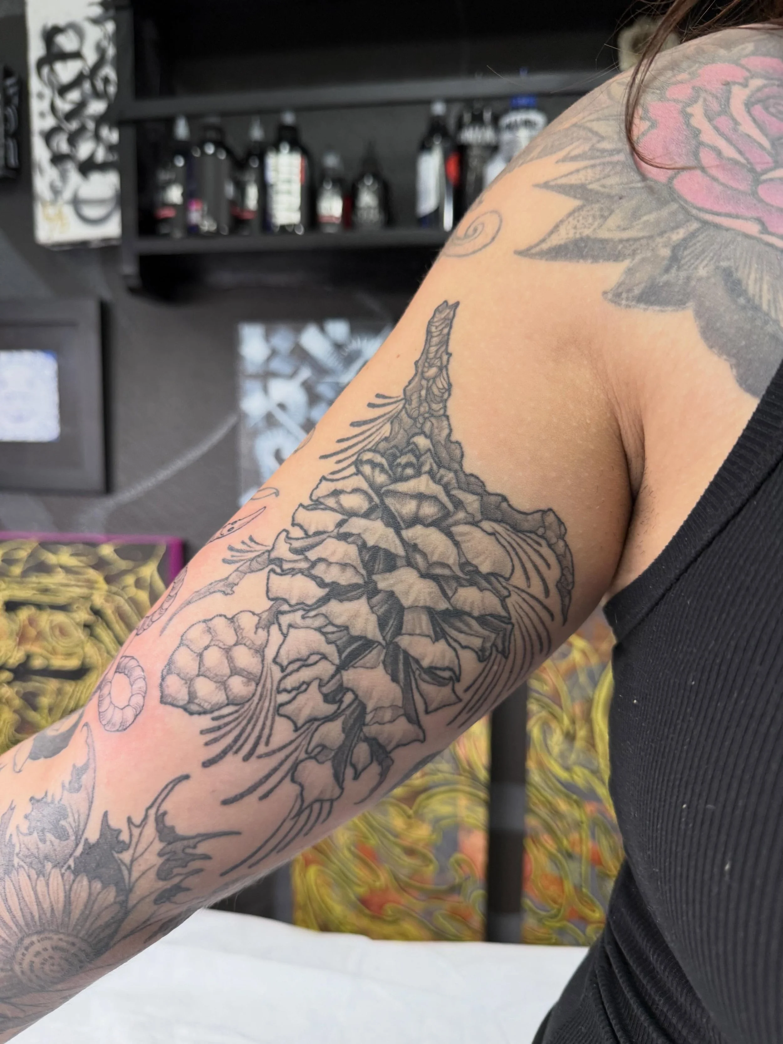 Tattoo by @gusespinozajr &bull; Follow the link in his profile for appointments! &bull;

🥀 @larosatattooco
3307 S College Ave Unit 102-B
Fort Collins, CO 80525
(970) 682-2946