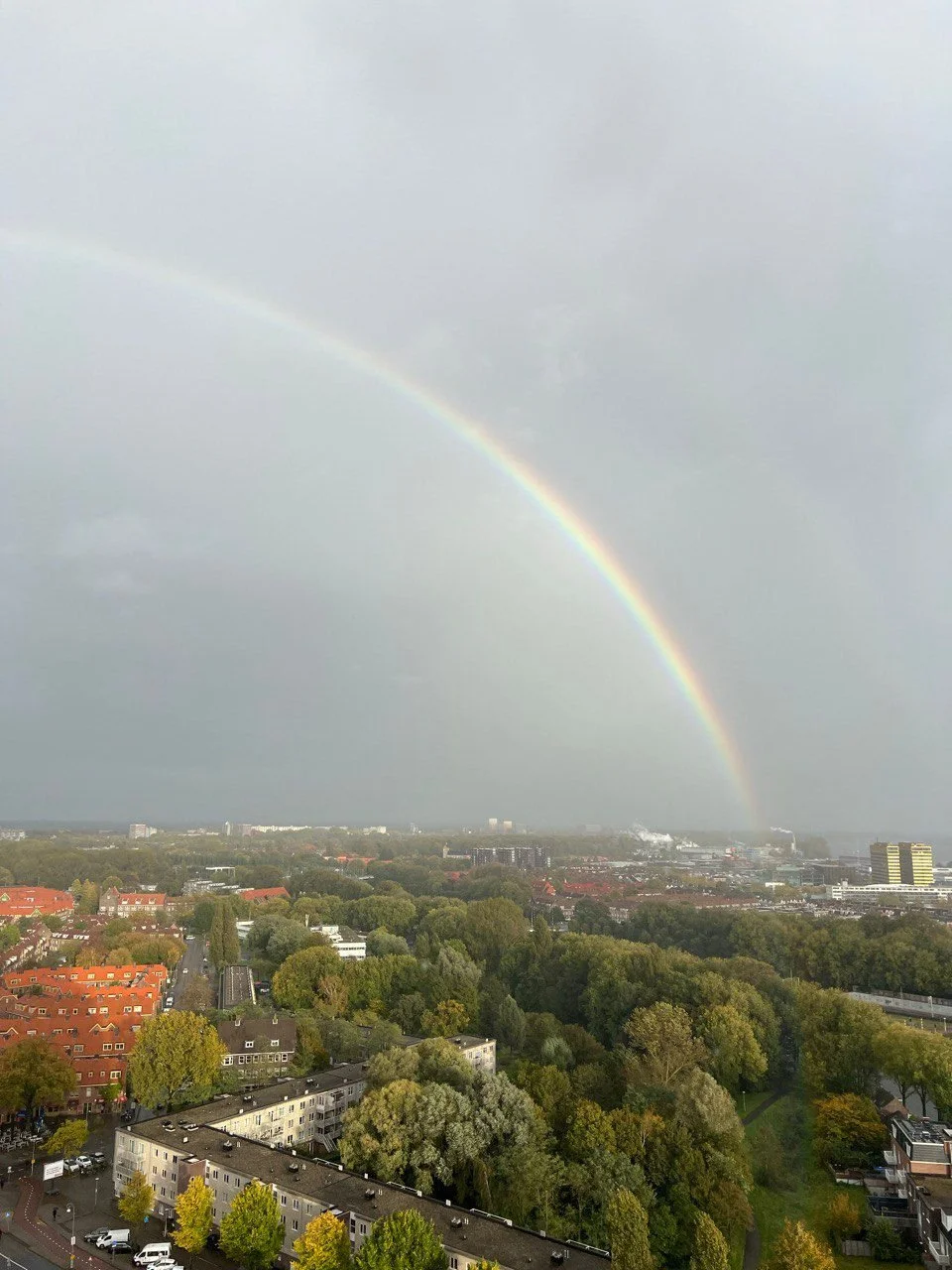 WhatsApp Image 2026-03-13 at 11.13.44 (3).jpeg